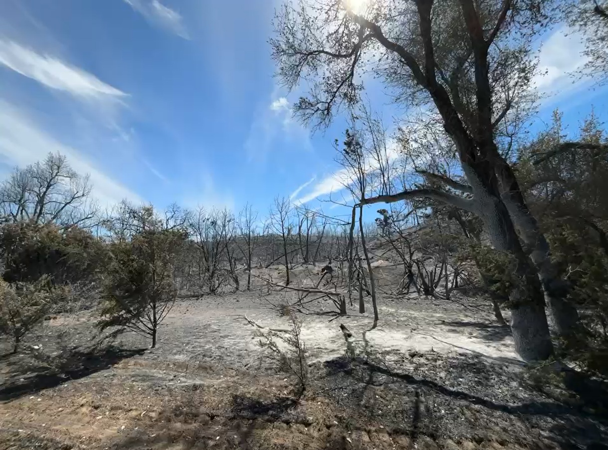firelandscape.jpg