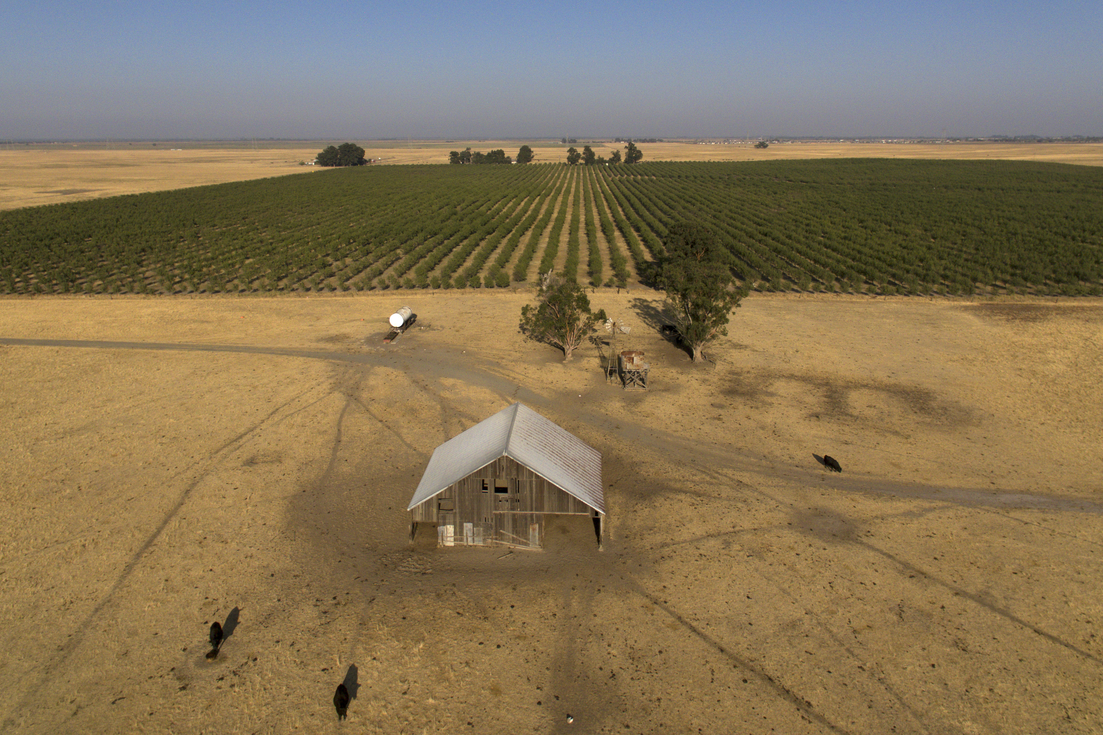 Billionaire backers of new California city seek voter approval after  stealthily snapping up farmland