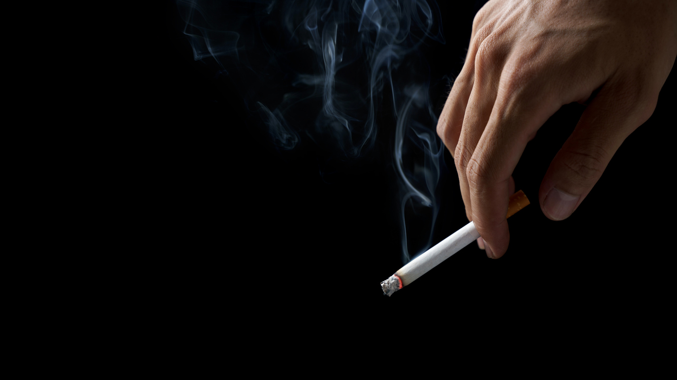 british american tobacco shareholders Massive leaf export augments British American Tobacco profits