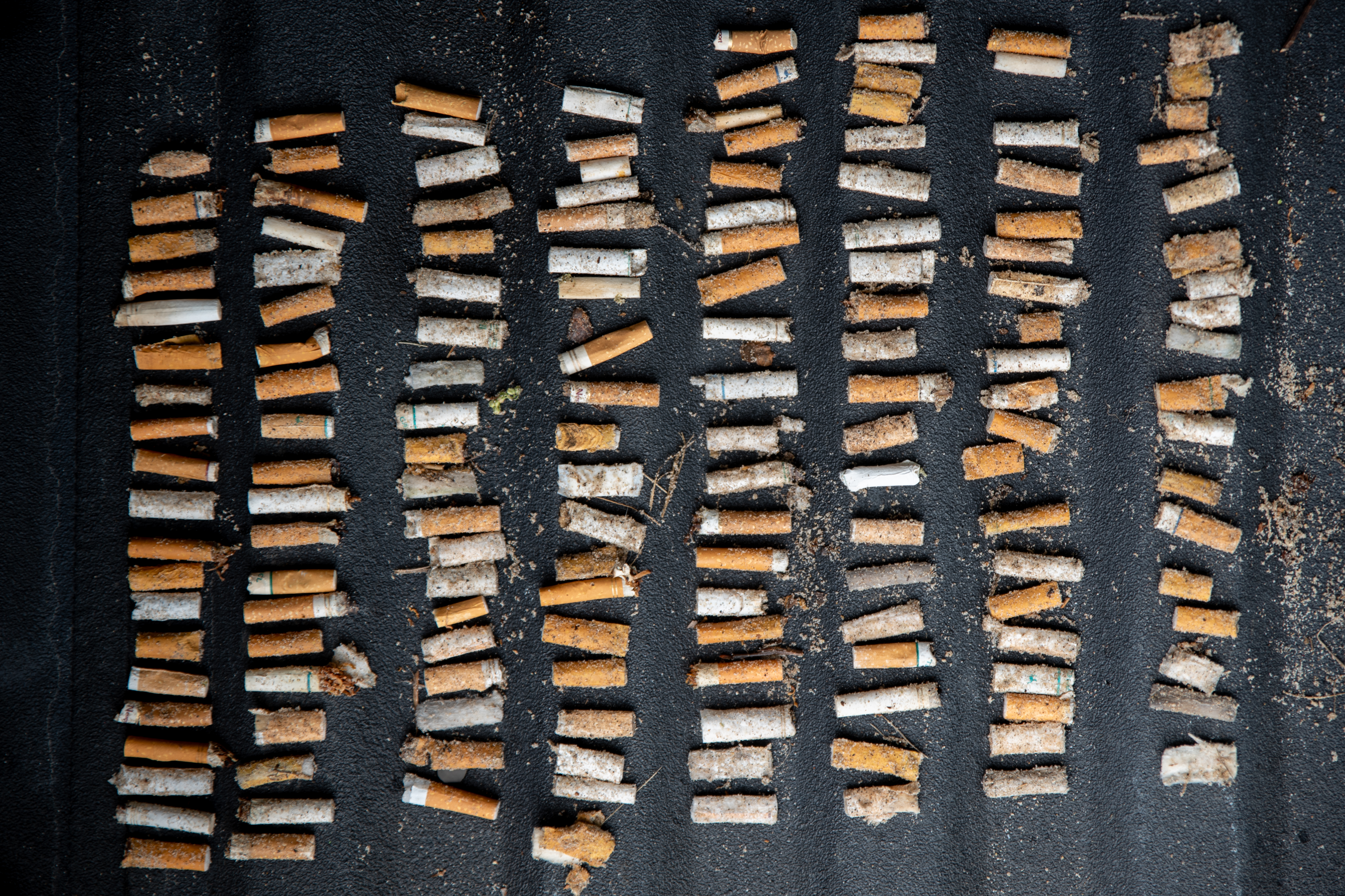 taat cigarettes TAAT Global Alternatives (CSE:TAAT) to acquire smoking cessation app |  2023-03-03 | Investing News