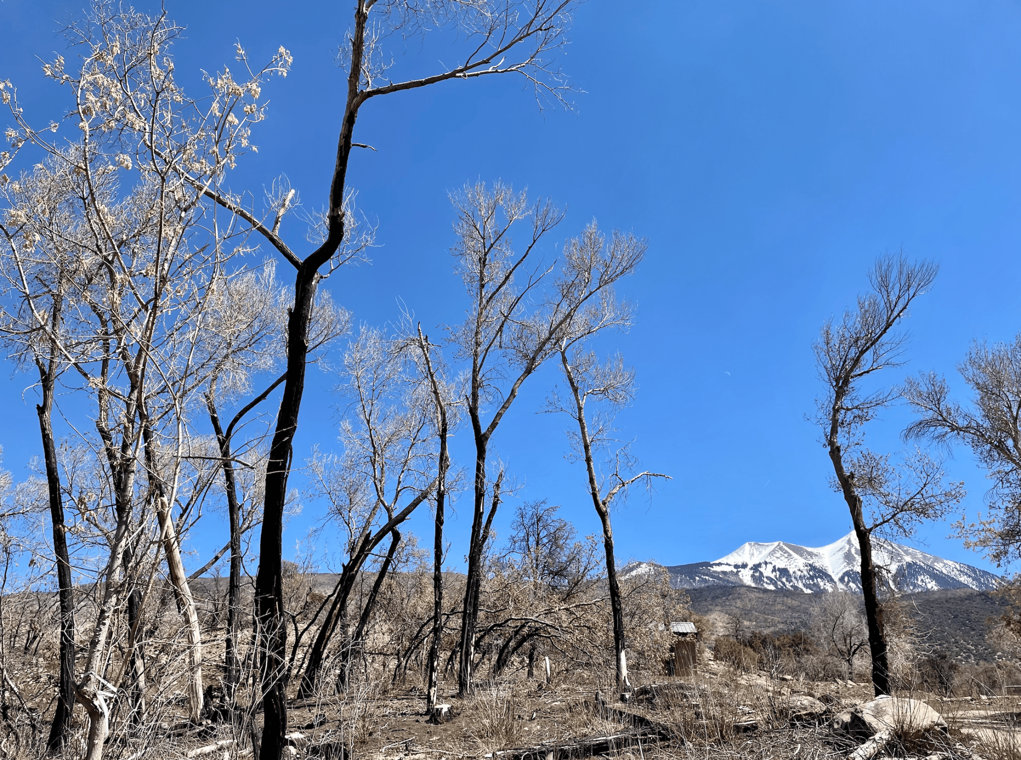 Human-caused wildfires are growing. So is demand for fire investigators - Vimarsana News
