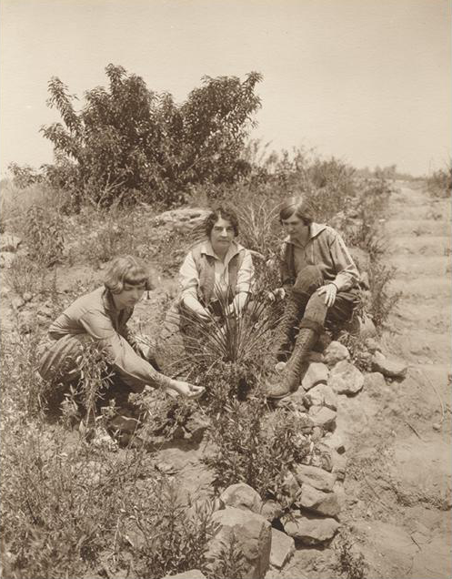 Black and white photograph circa 1920 showing author Gene Stratton-Porter (center) and two other women examining wild plants along a rocky path in a field.