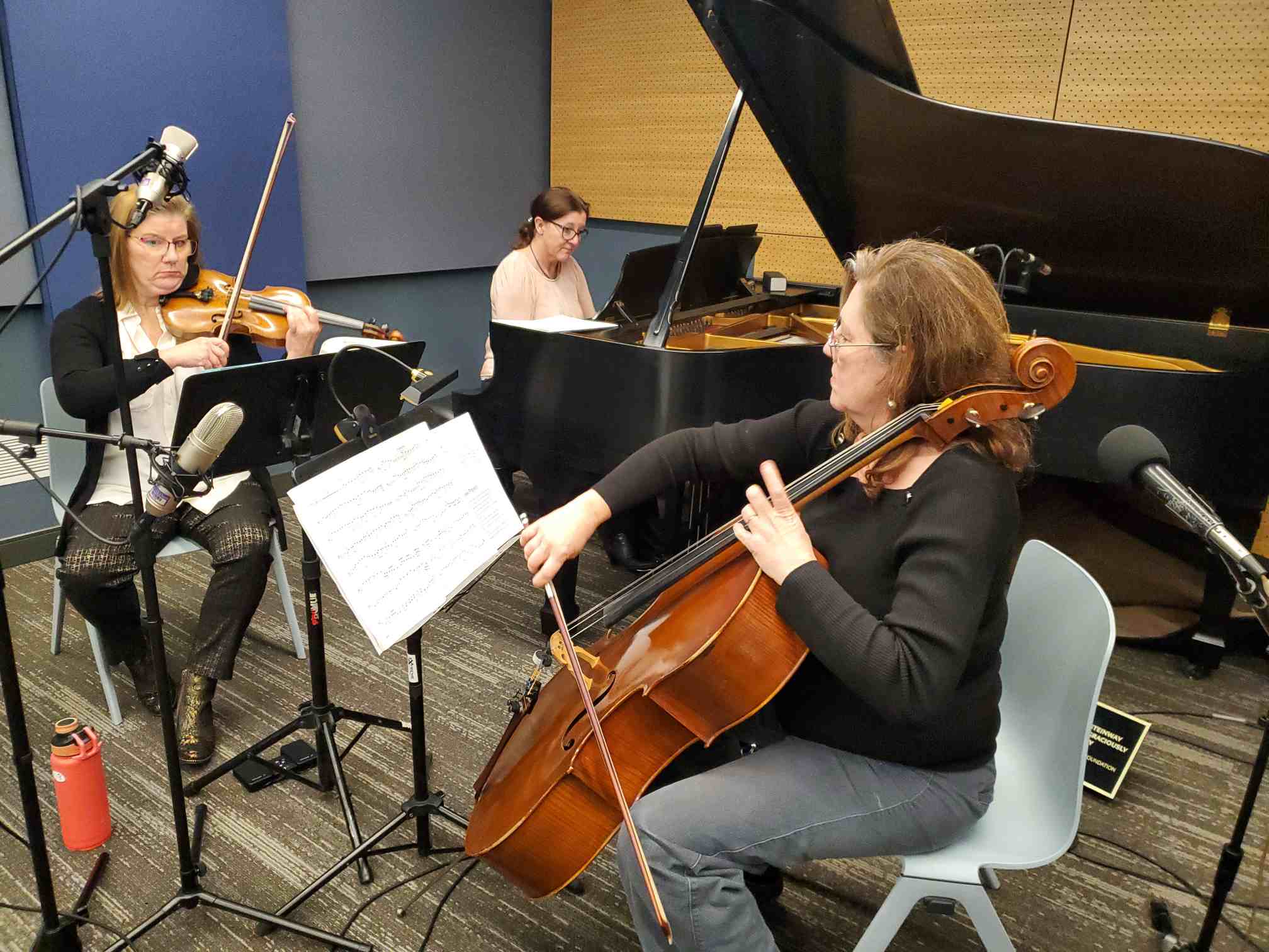 角銅真実 Baby TACO Mansion Orchestra TRIO For Valentine's week, pink cosmos and a classical trio | TPR