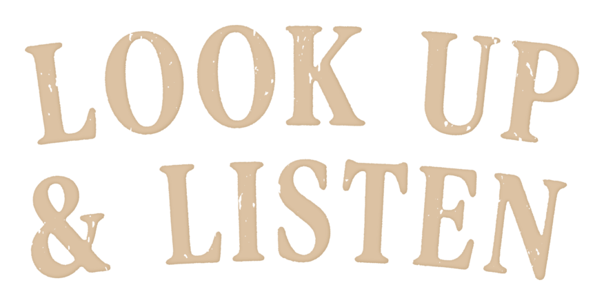 Look Up and Listen