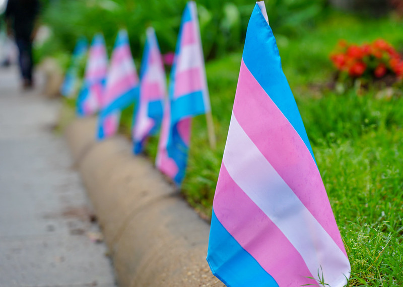 'Evil in this world,' Florida's transgender health bill lies in limbo - Vimarsana News