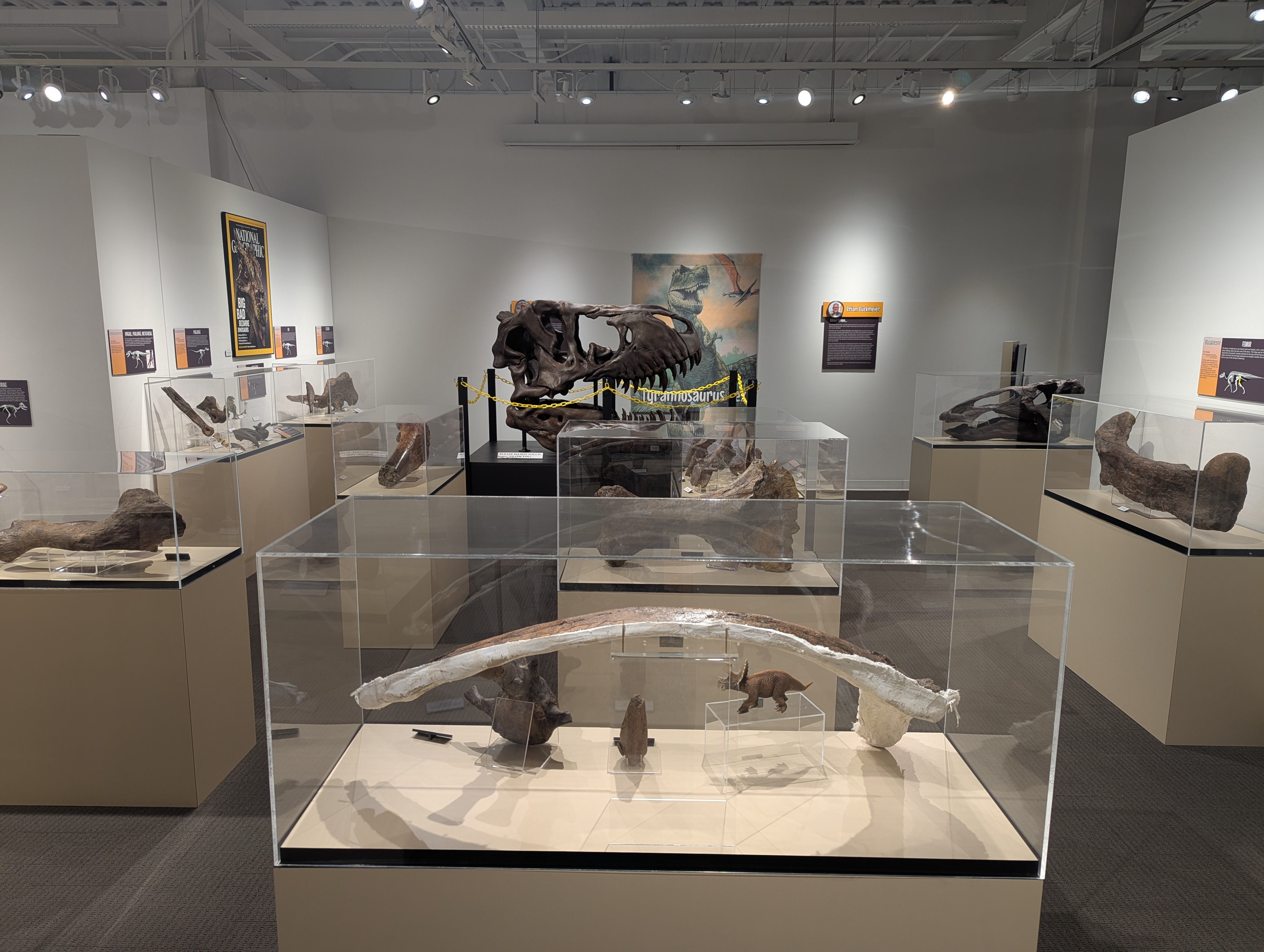 What's The Frequency: Meet the men who made the South Dakota finds What's The Frequency: Meet the men who made the South Dakota finds