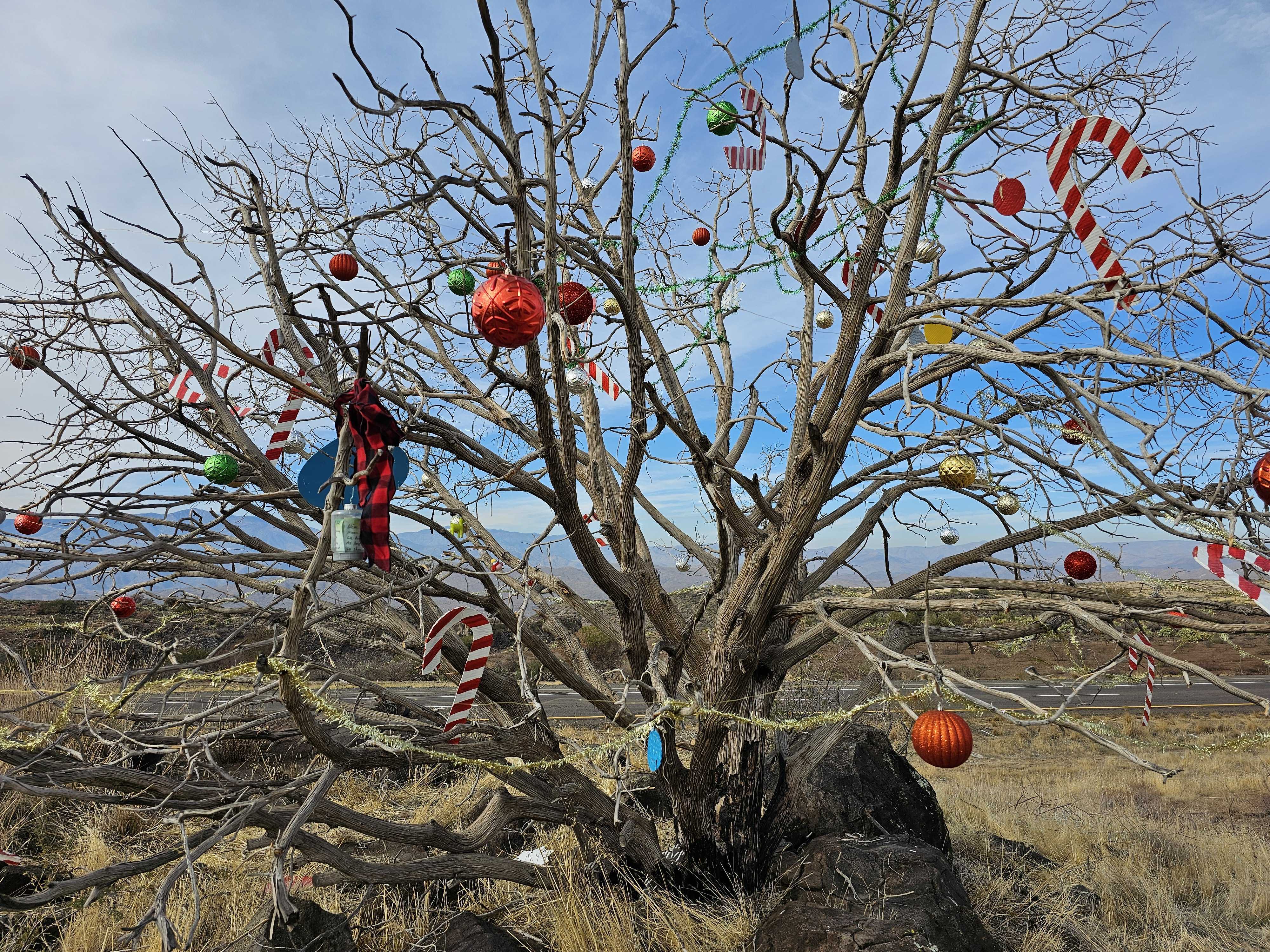 interstate-17-christmas-tree-