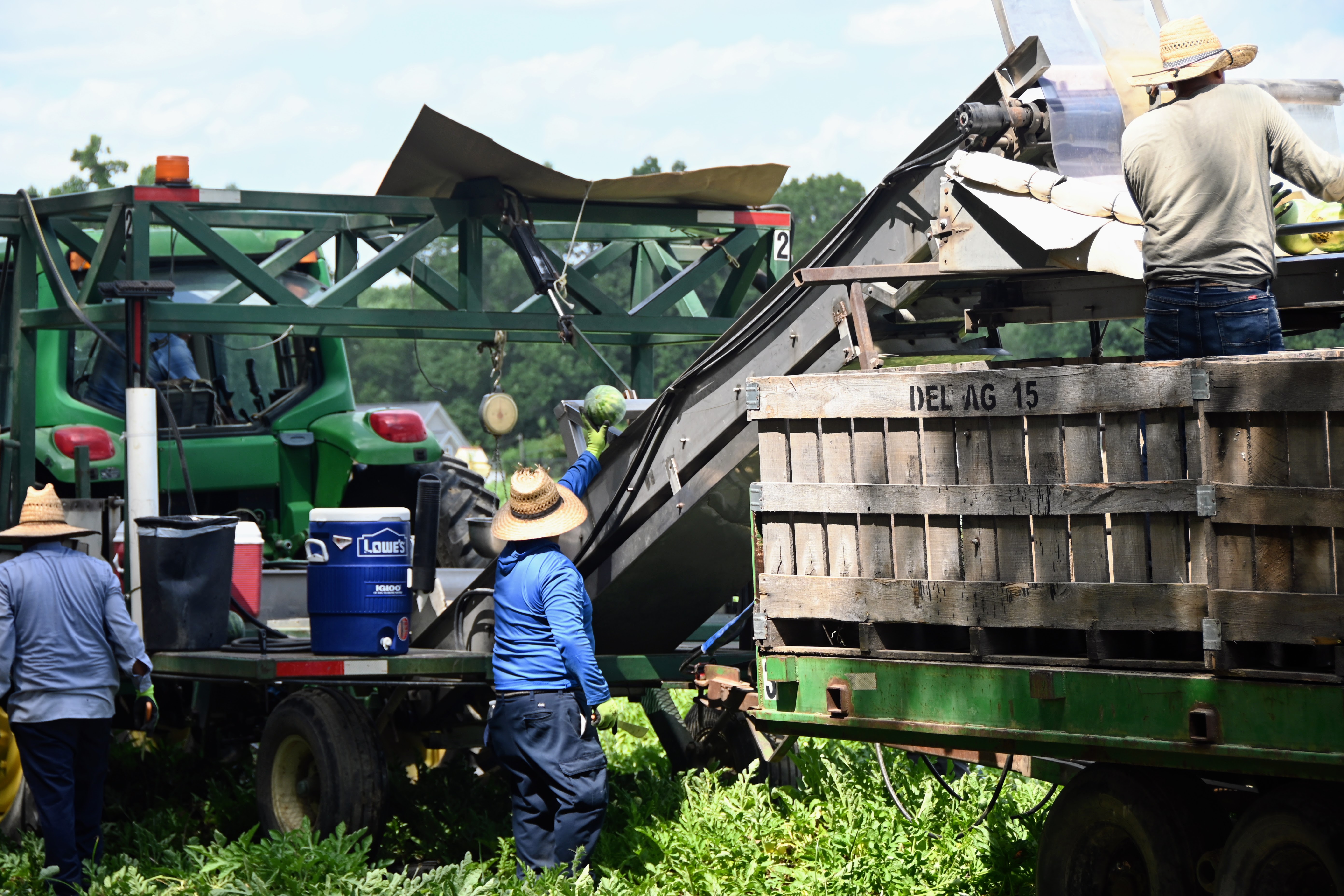Workers are at risk in extreme heat, but North Carolina has no protections  | WFAE 90.7 - Charlotte's NPR News Source
