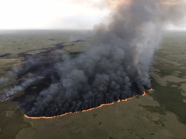 Fire activity from the Vulture Fire in Everglades National Park