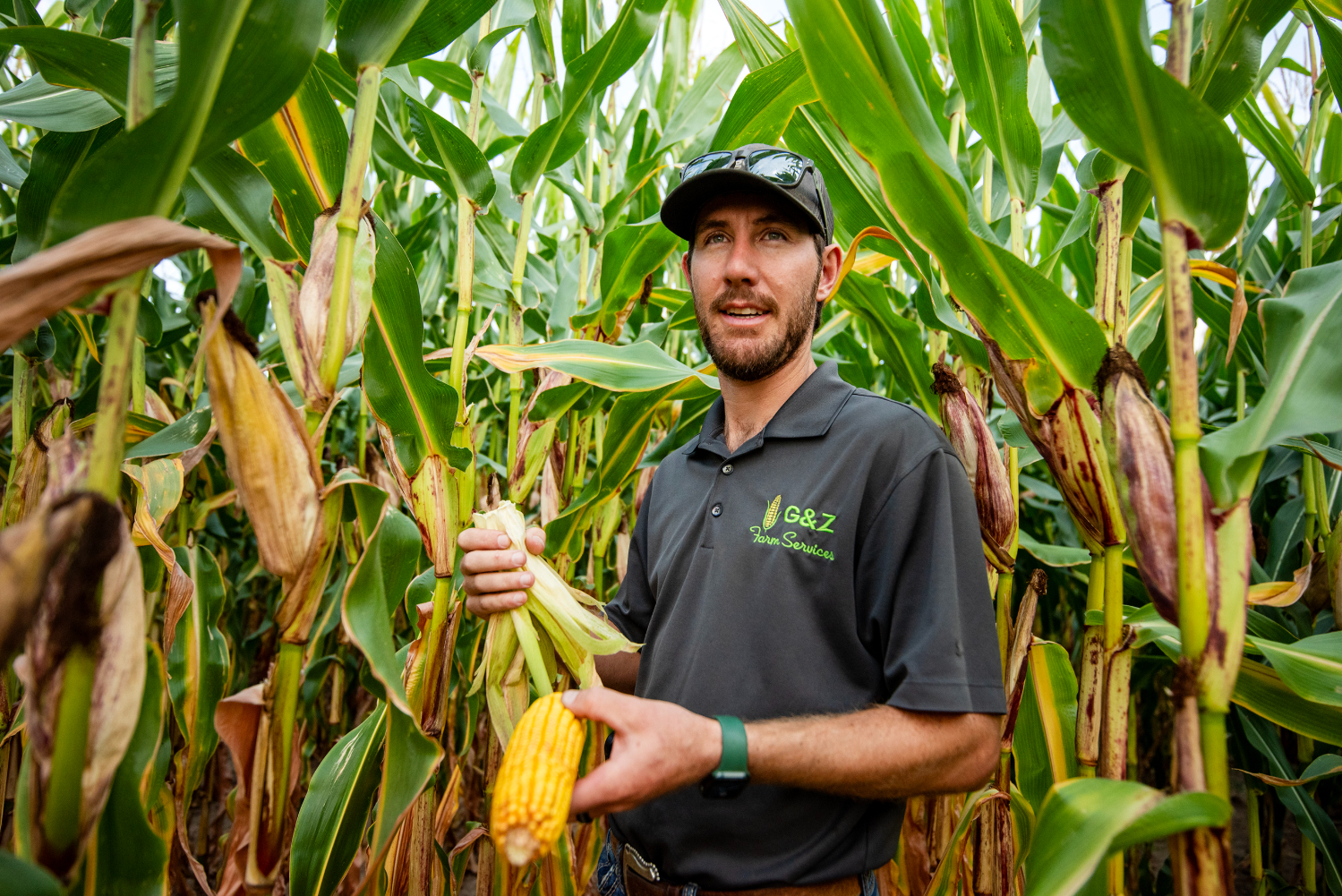 Crops look good across the Midwest and Great Plains. But farmers still face  tough economy | KCUR - Kansas City news and NPR, image size:1499x1001