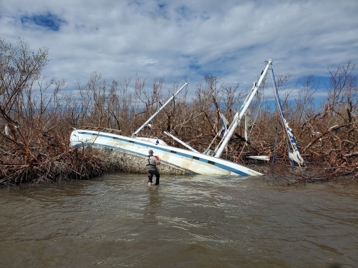 Deadline extended to help owners of Hurricane Ian-wrecked vehicles - Vimarsana News