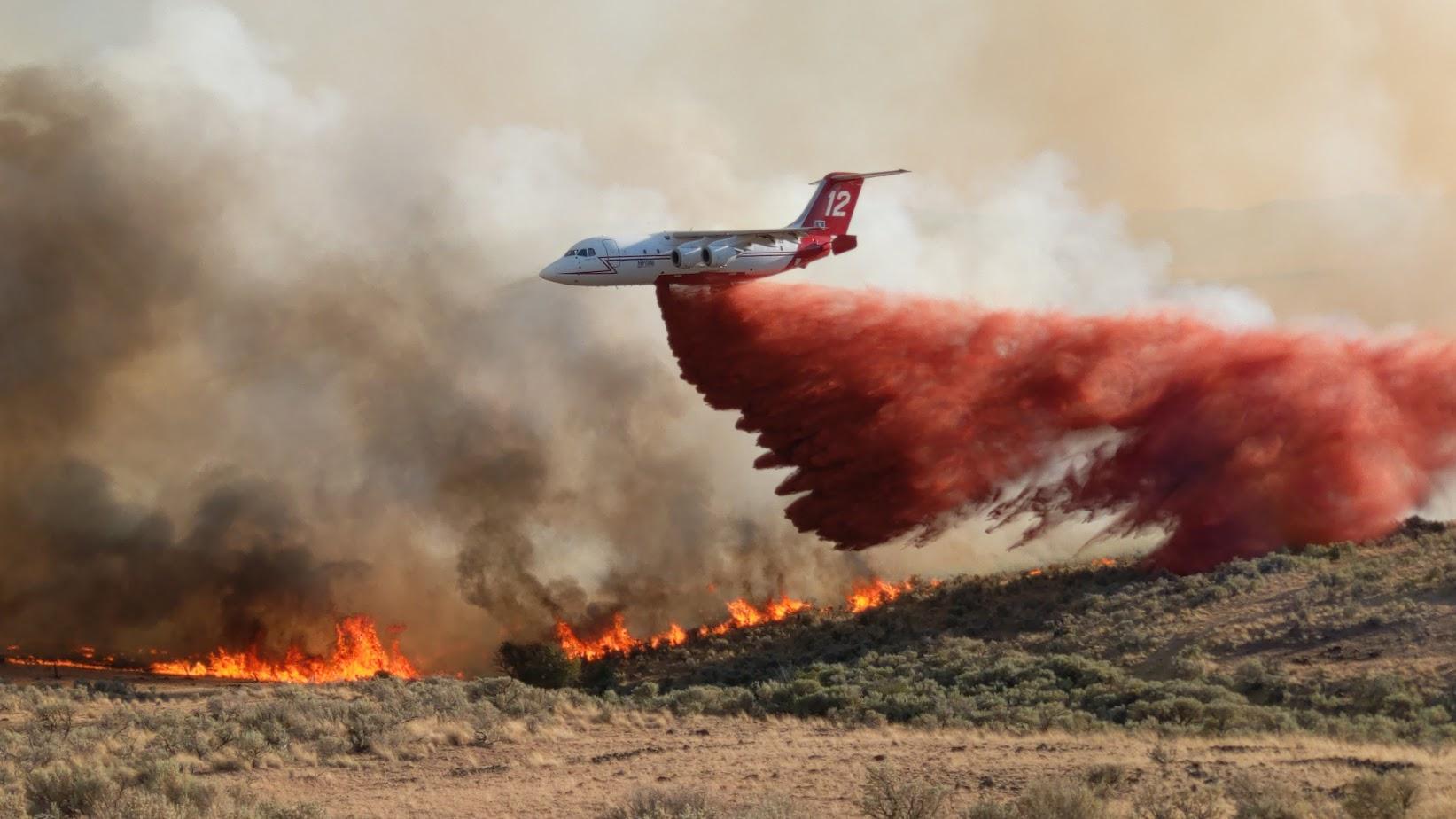 Wildfire forecasters predict above-normal activity across the Mountain West - Vimarsana News