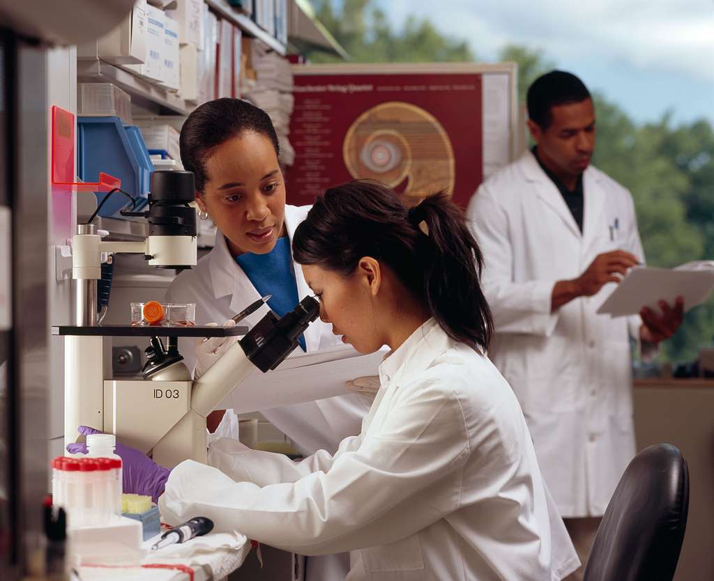 https://npr.brightspotcdn.com/90/be/782e24394416a68f71763fdf74c4/researchers-in-laboratory-5add1b-1024.jpg