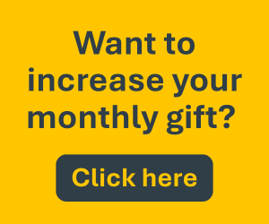 WUSFT Fall Fund Drive