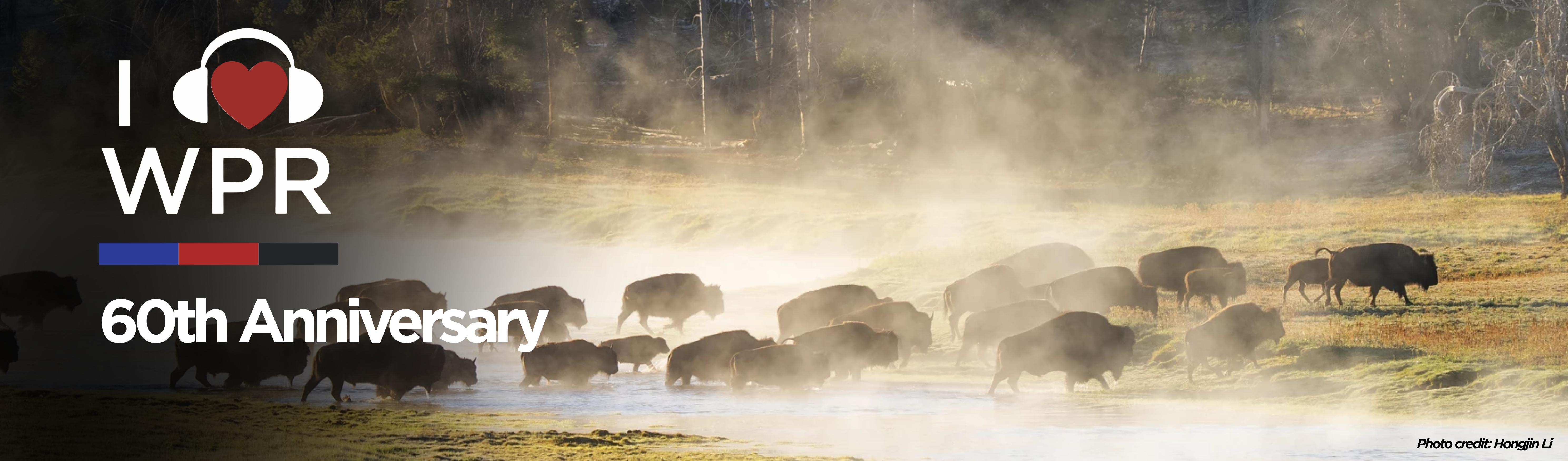 I Love WPR 60th Aniiversary with Bison