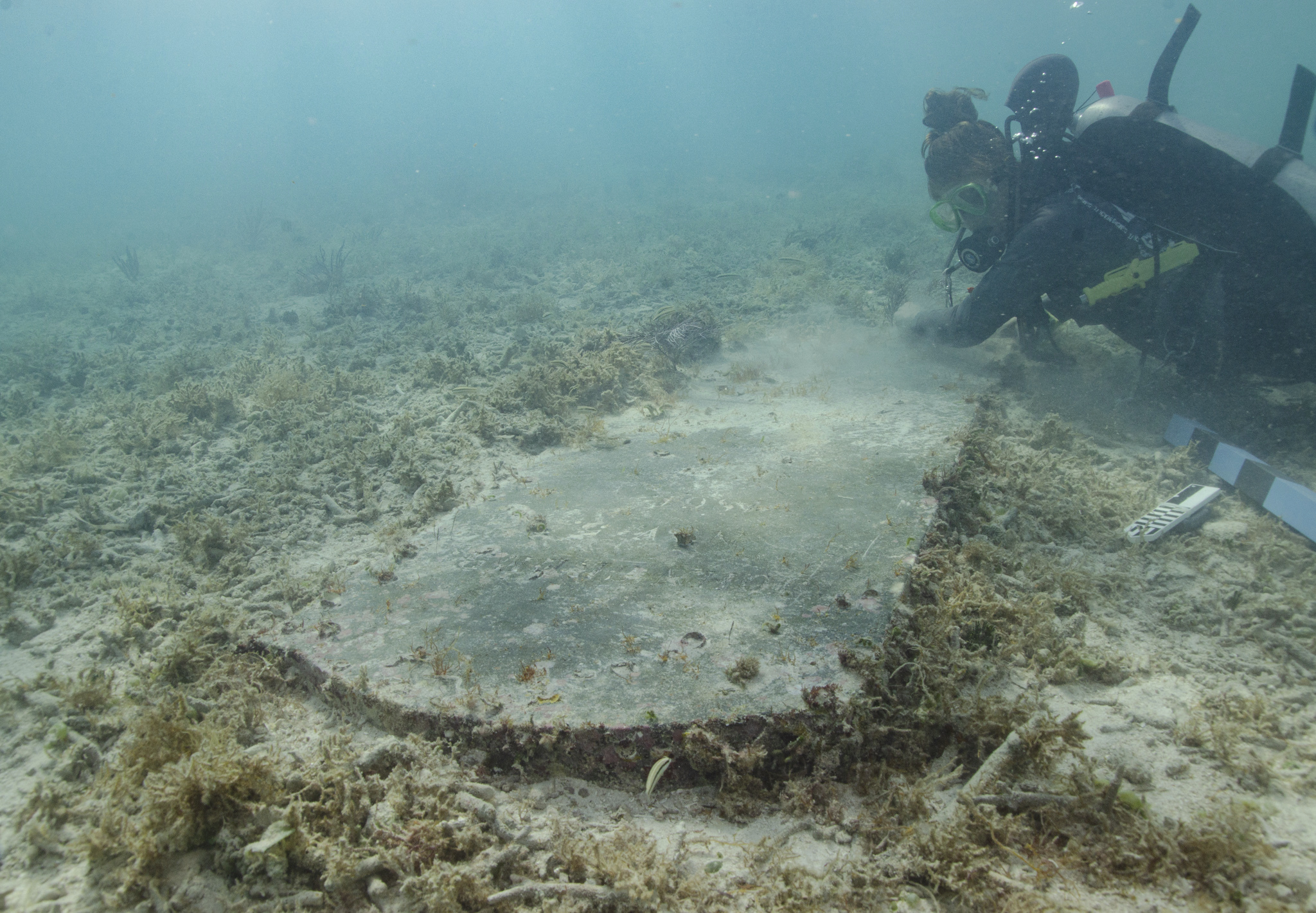 An underwater cemetery is found off Dry Tortugas National Park - Vimarsana News