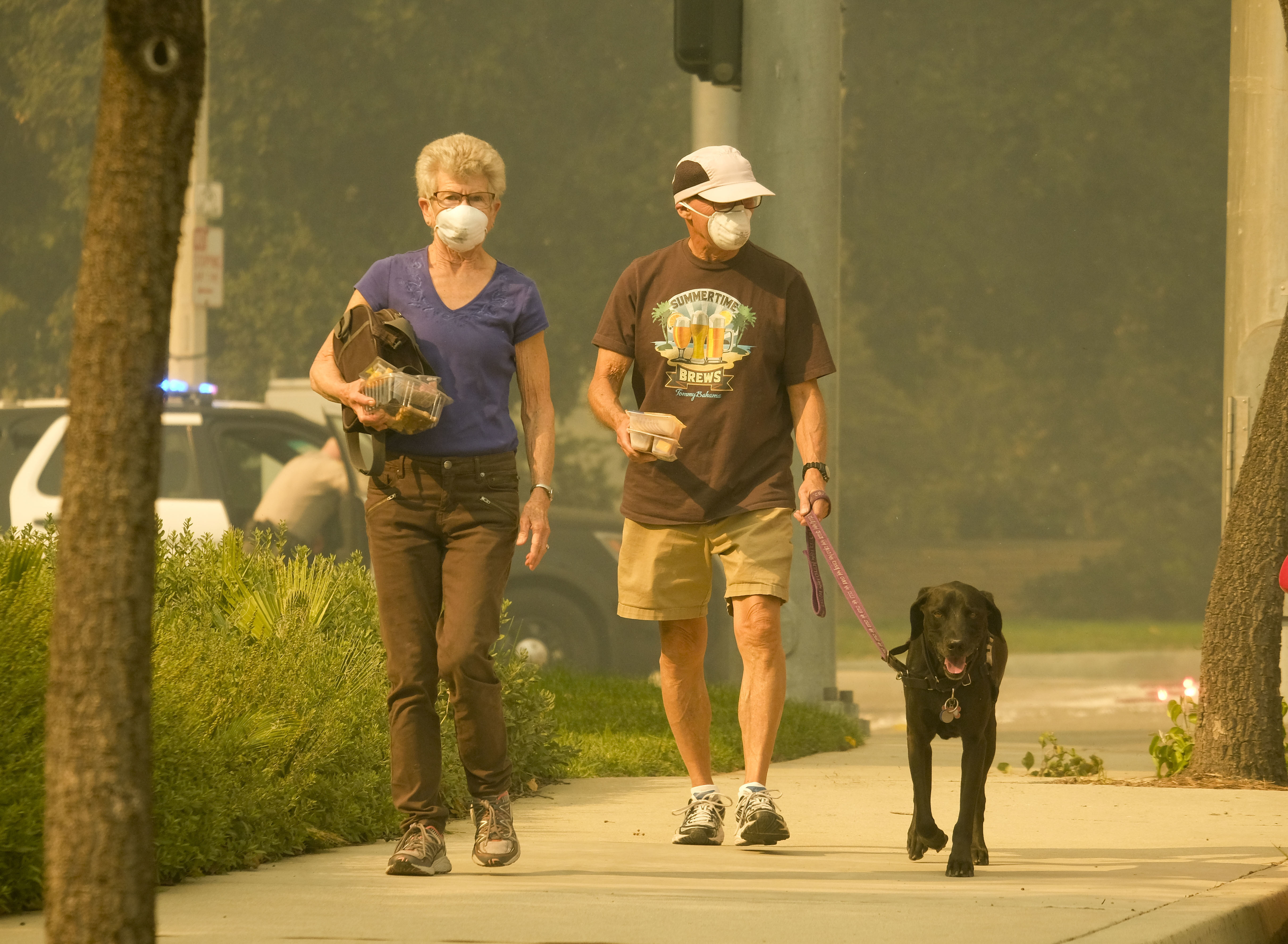 A couple and their dog walk in hazy yellow air.