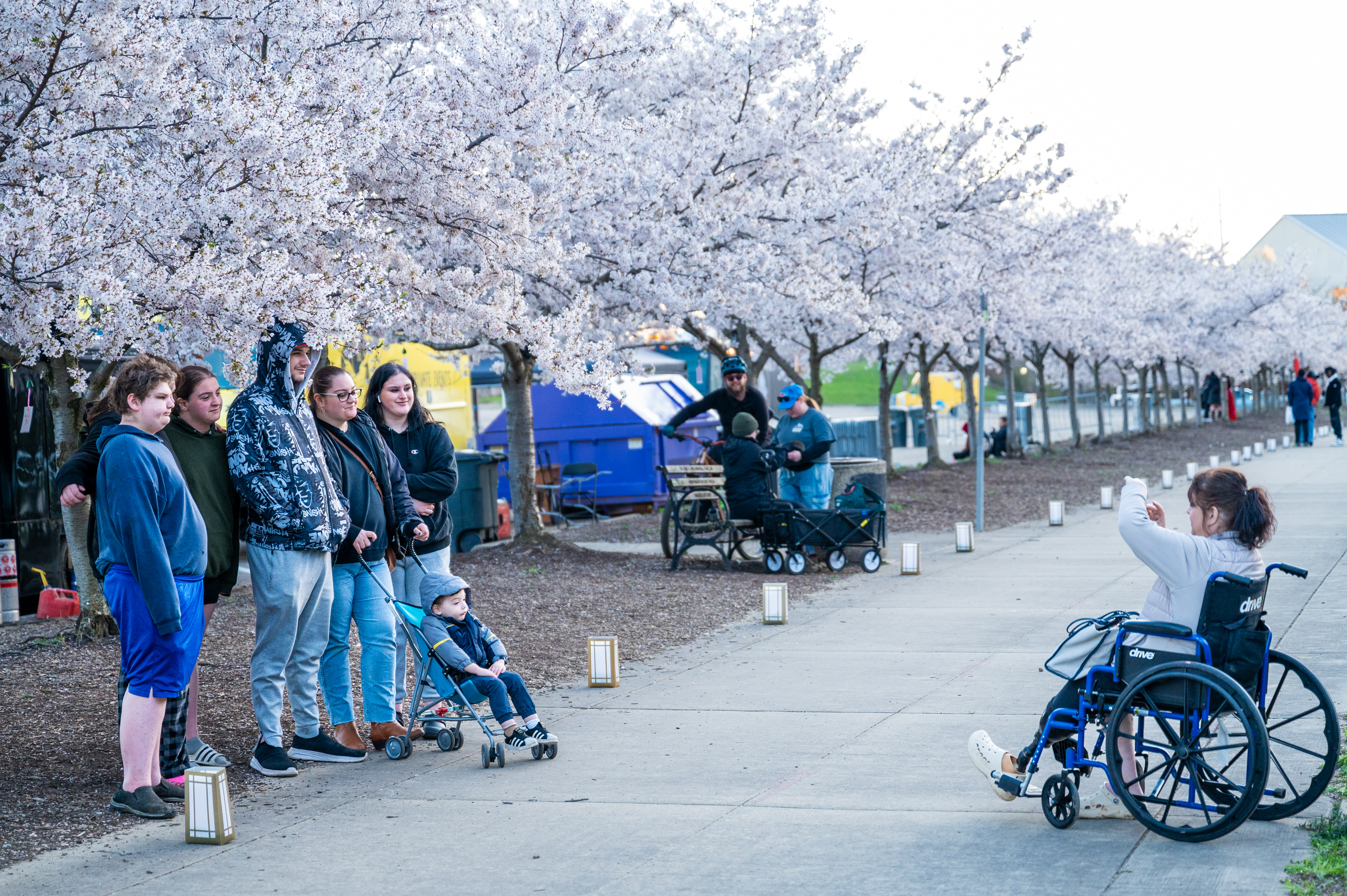 5 things to do in NEO: Akron Sakura Festival, book market and more