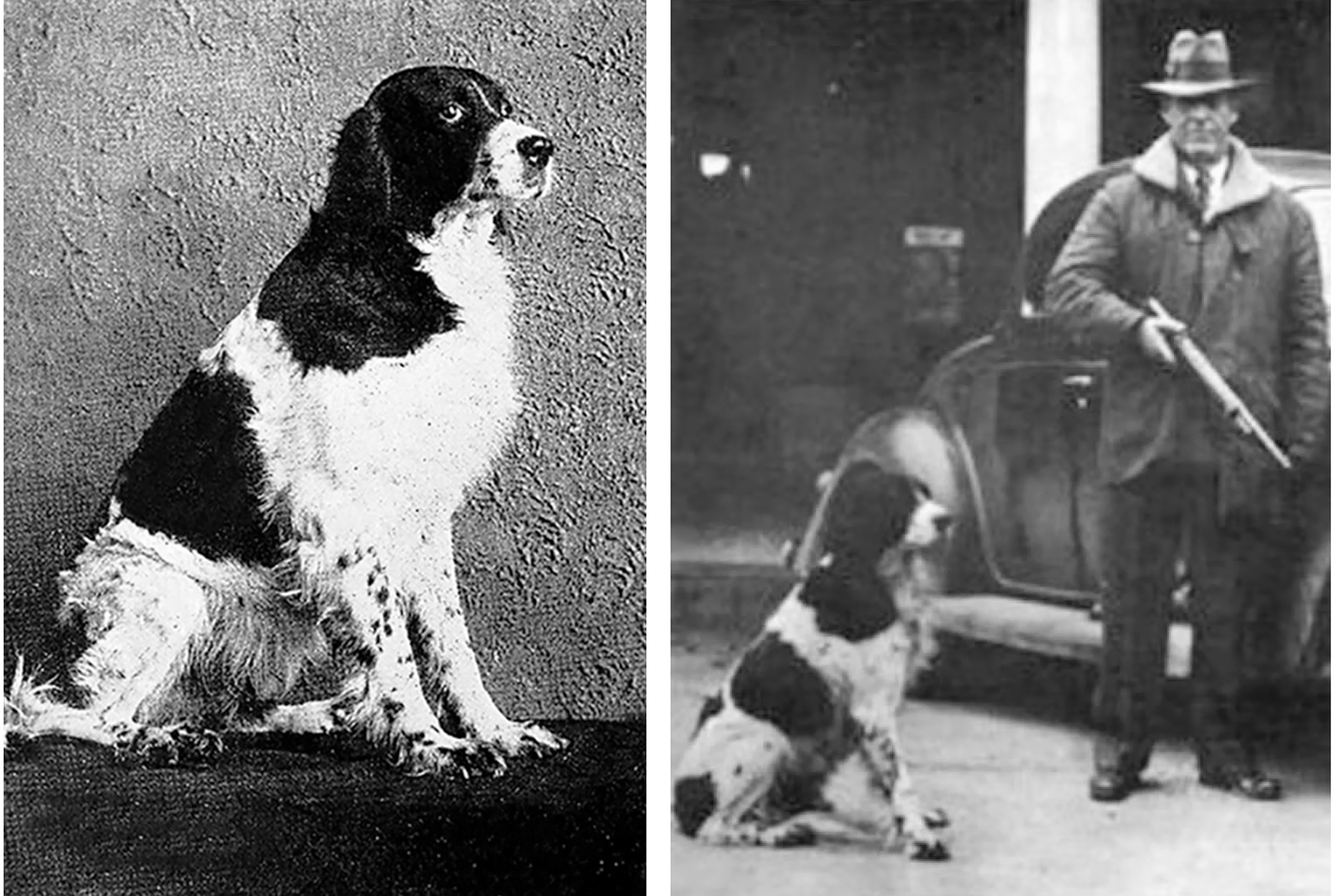 A Missouri town is celebrating the 100th birthday of Jim, the