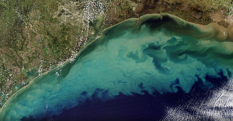 Missouri joins 11 other states to reduce dead zone in Gulf of Mexico - Vimarsana News