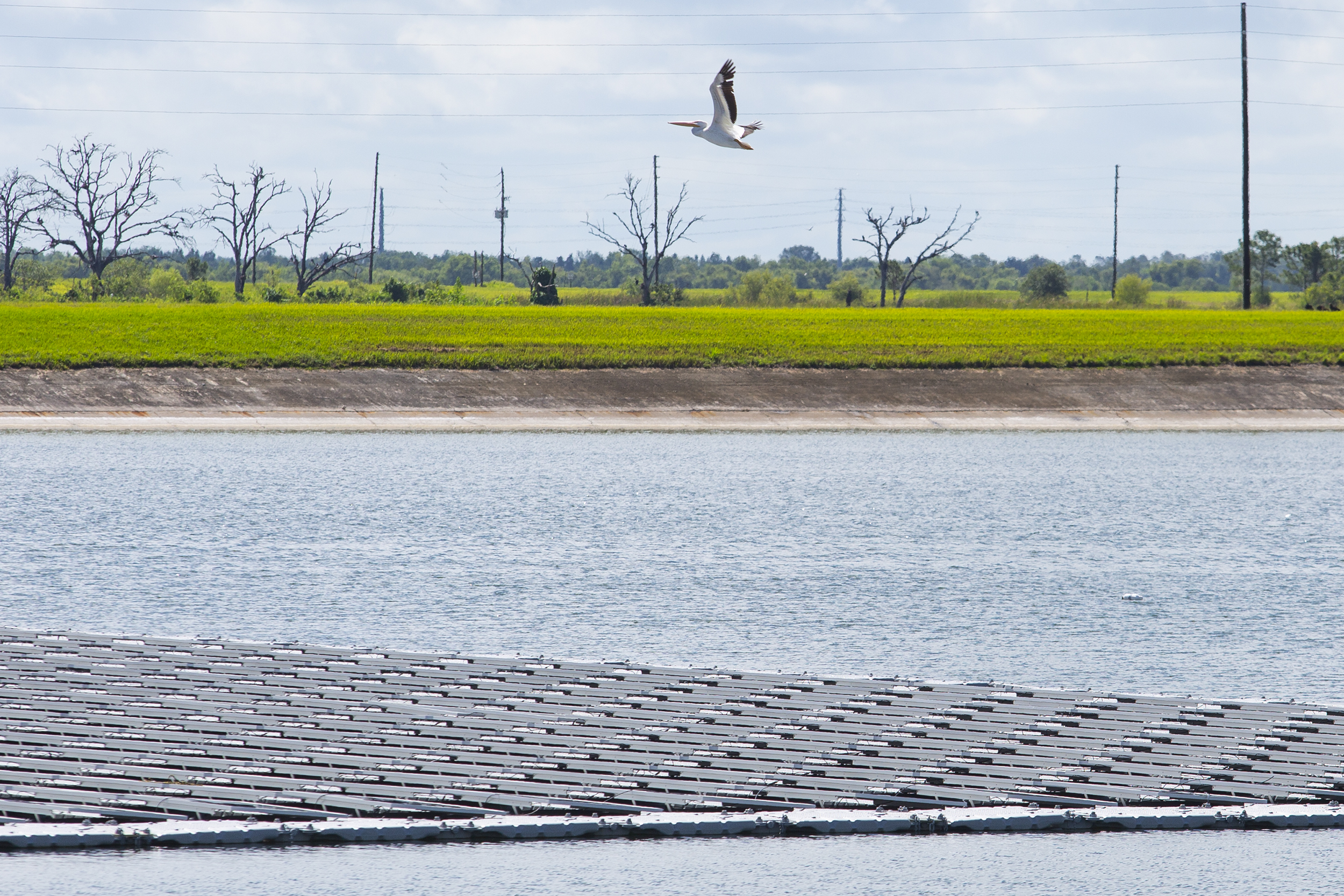 'Floating Solar' could be a bright spot in future clean energy production - Vimarsana News