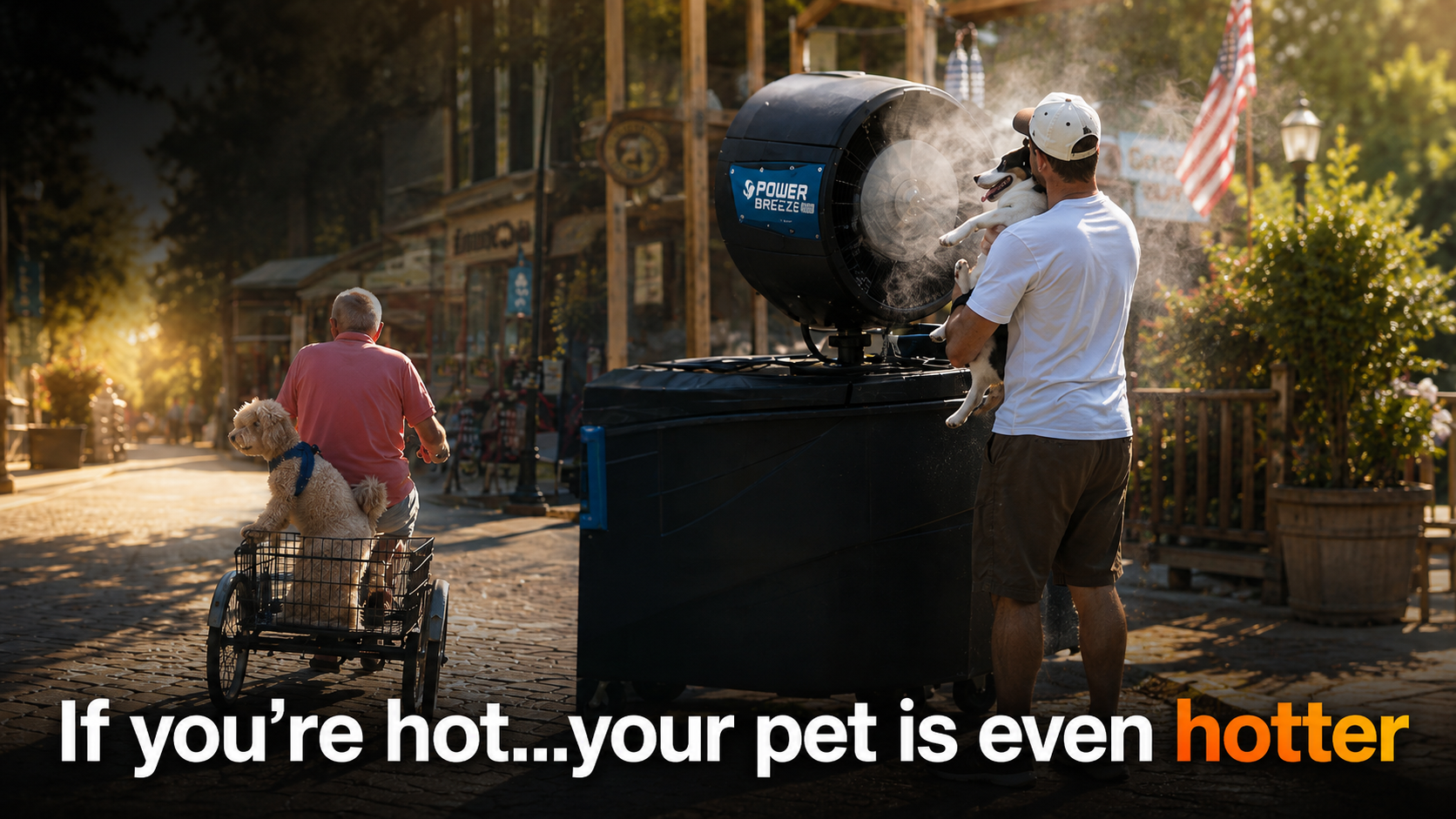 Your pet doesn't feel Florida's heat the way you do