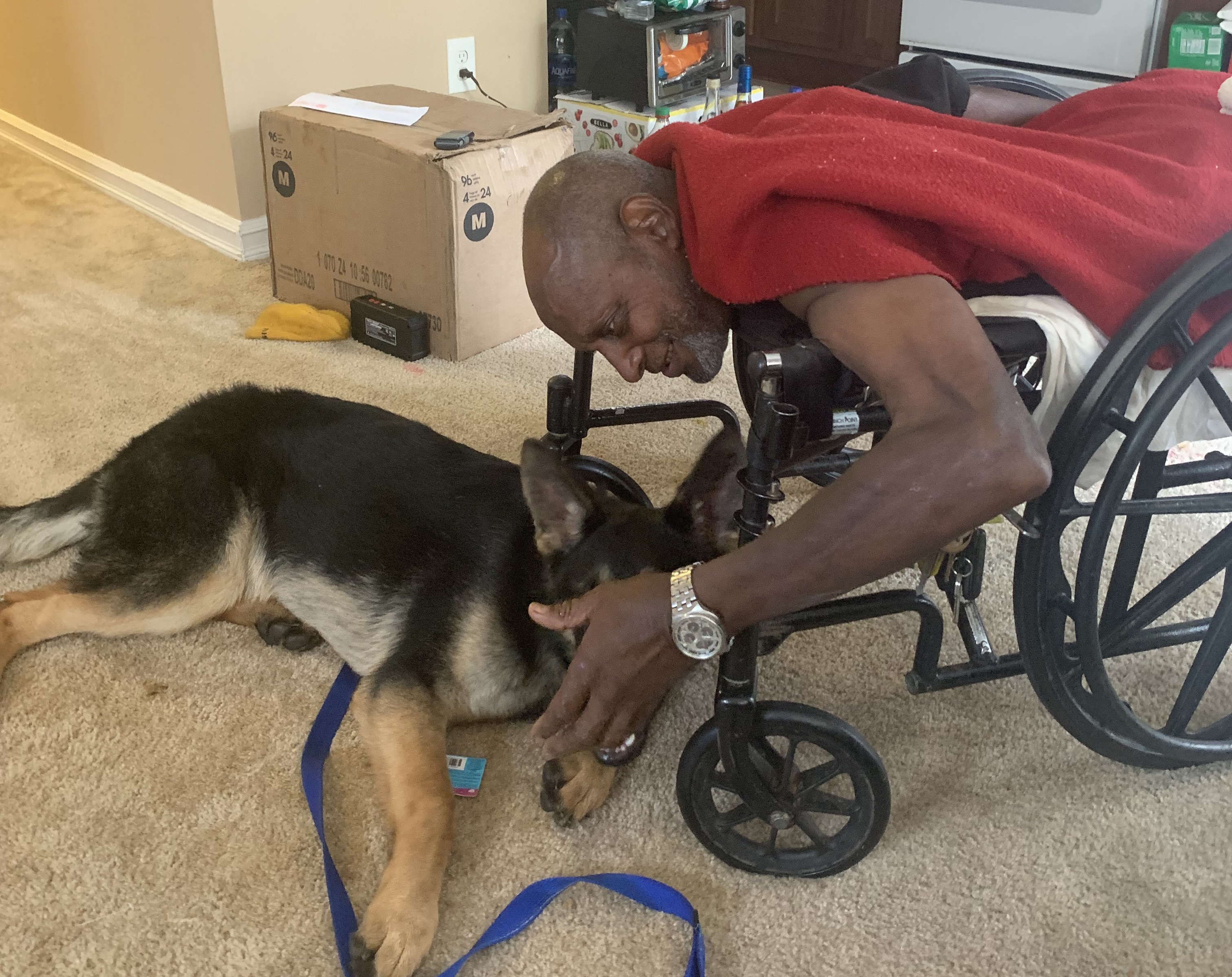 A double-amputee called Taylor police for help. They took his dog. Now the ACLU is suing the city. - Vimarsana News