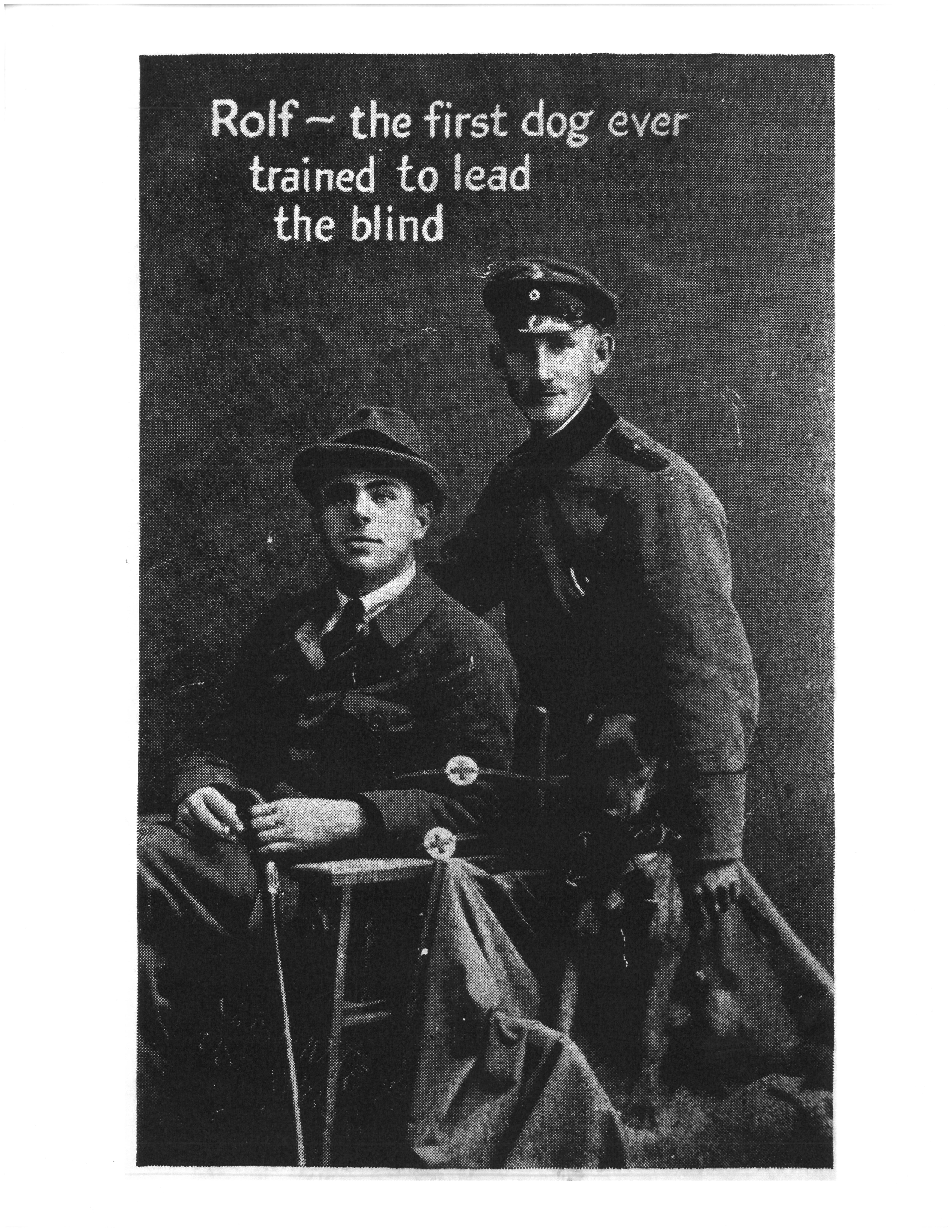 When Were Guide Dogs First Trained To Lead The Blind? Discover History