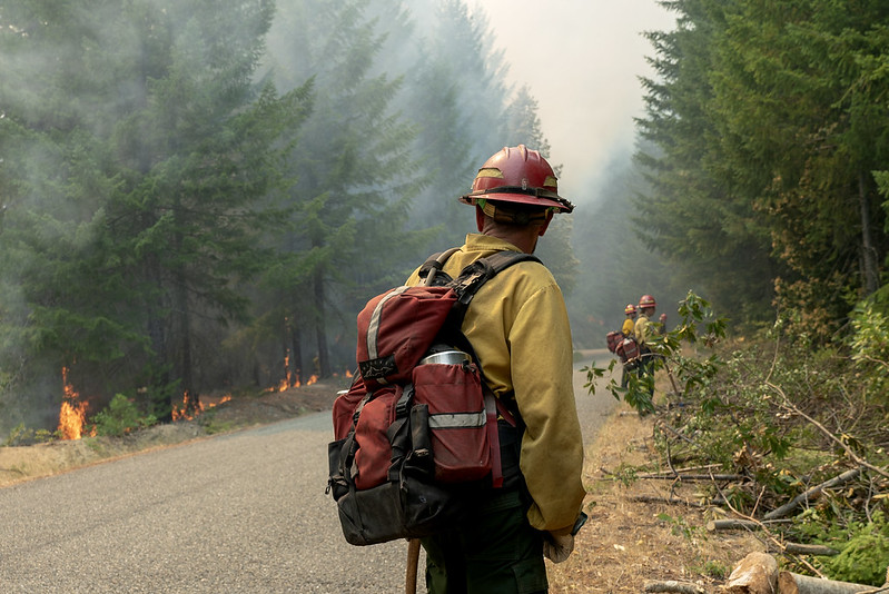 Wildland firefighters struggle in the sudden silence of the off-season - Vimarsana News