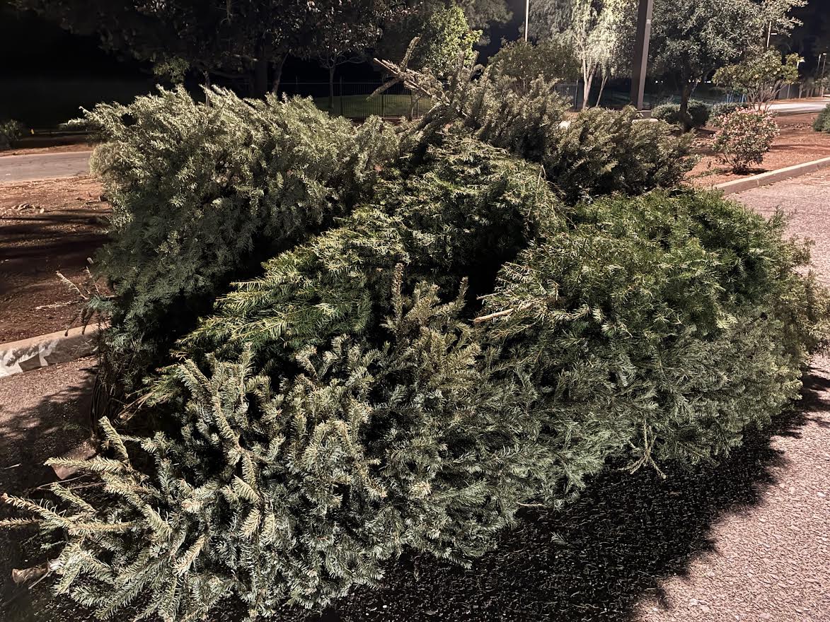 Where to drop off Christmas trees, wreaths to be composted in Phoenix