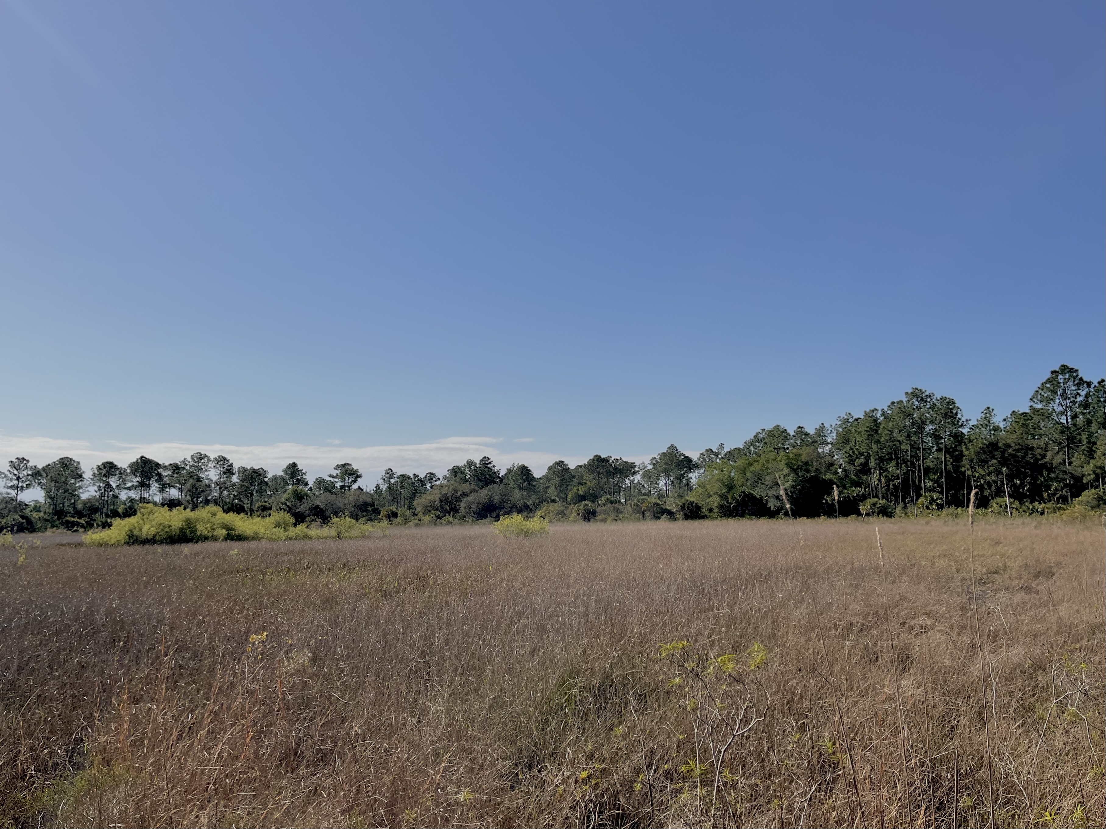 Water managers in ever-growing Southwest Florida work to ensure the drinking water supply is safe - Vimarsana News