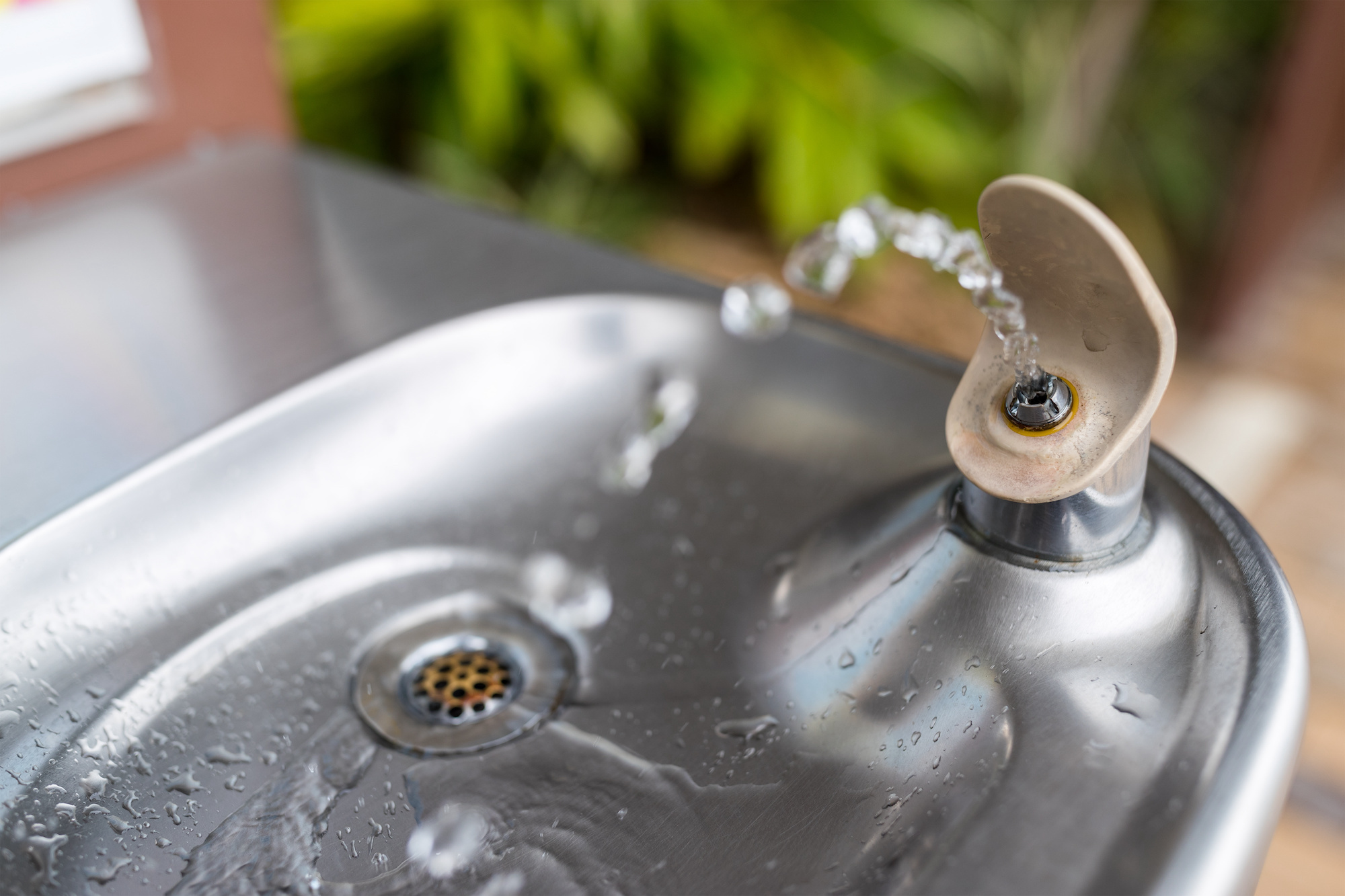 Lead contamination report card gives Mountain West states failing grades - Vimarsana News