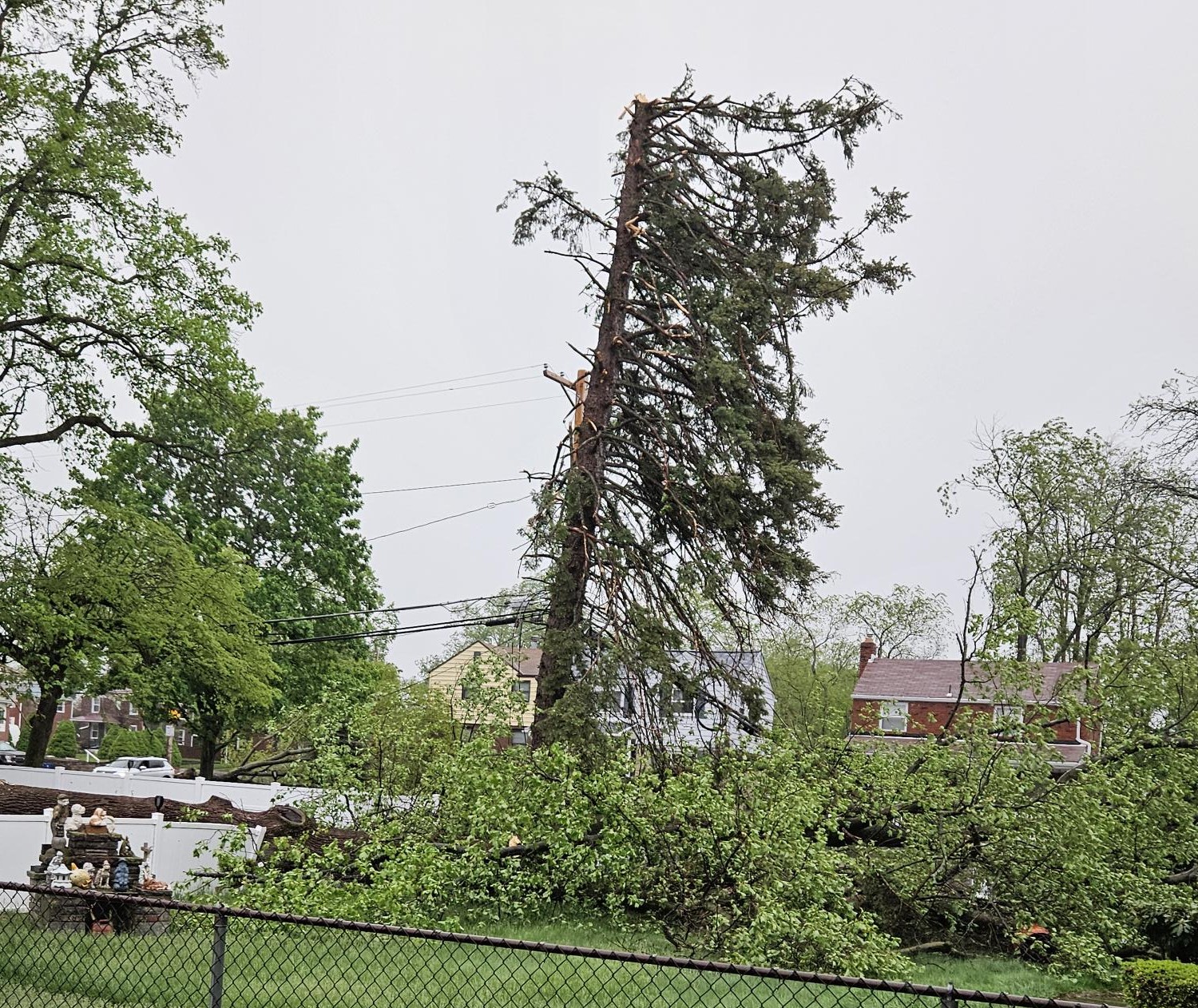 doa5 マリーローズ エロ