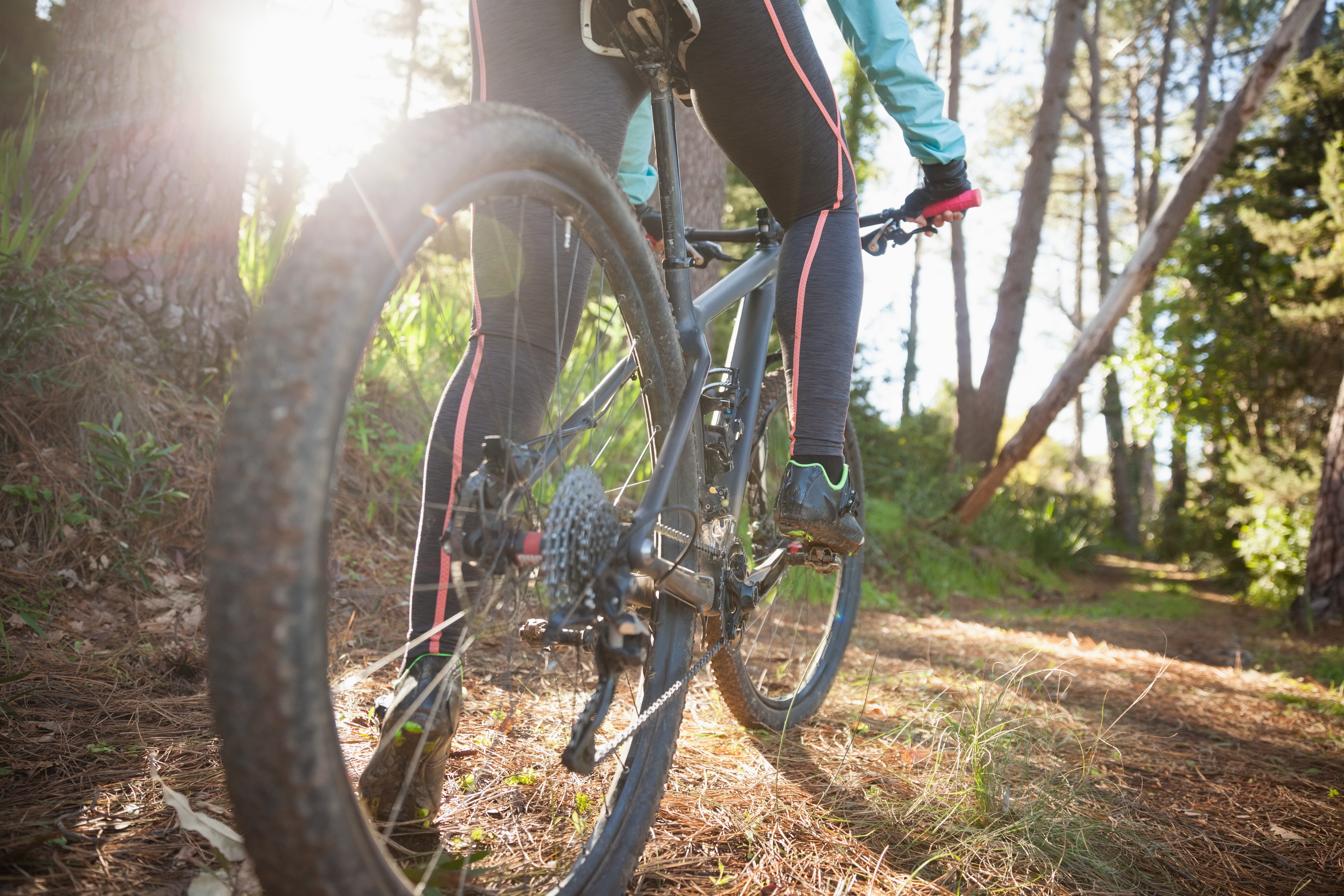 adobestock-123022737.jpeg