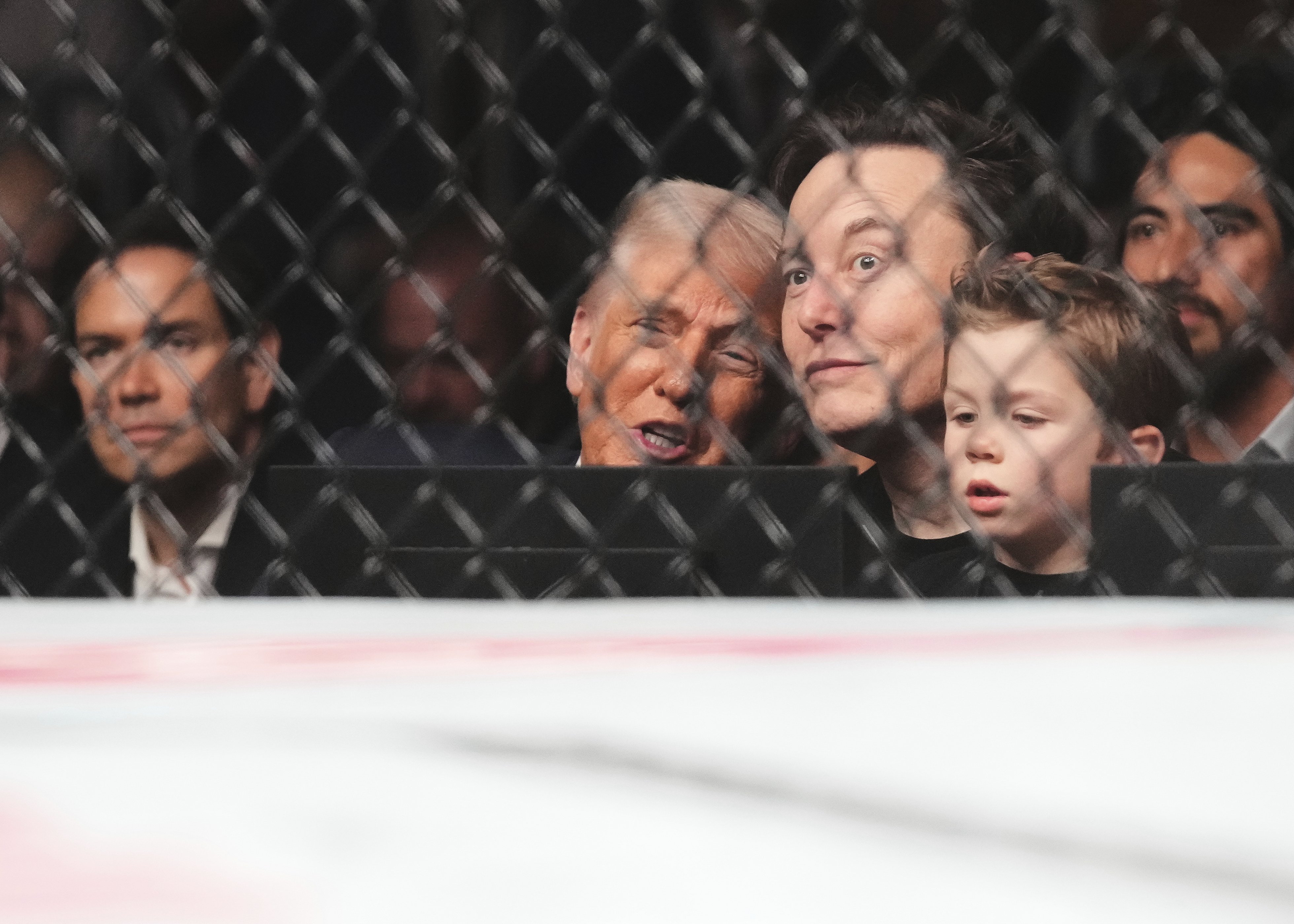 President Trump sits cageside at Miami UFC event in his latest appearance  at a sports event | WLRN