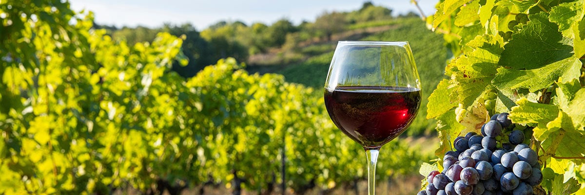 Why Southern Oregon can grow so many varieties of wine grapes