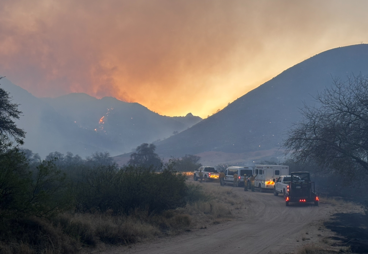 Stronghold Fire: The latest on the Arizona wildfire in Cochise County