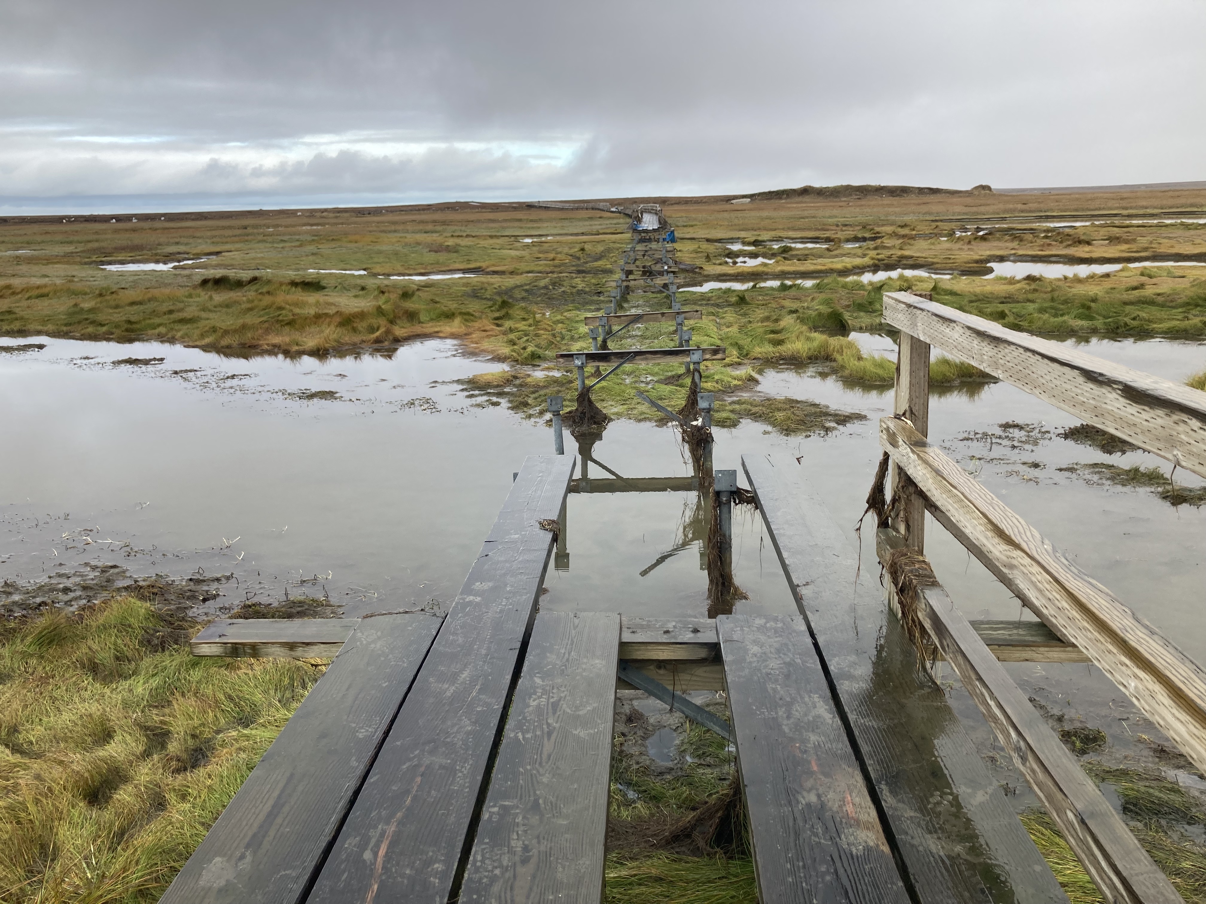 As recovery begins, Hooper Bay reckons with the emotional toll of the storm - Vimarsana News