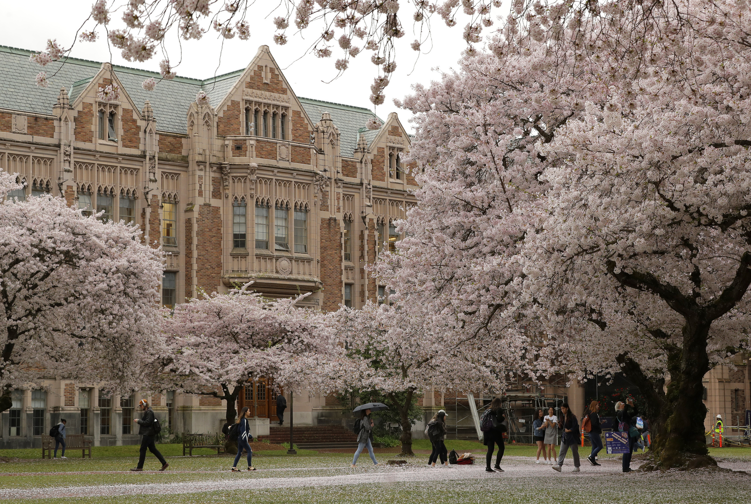 International student population drops at University of Washington