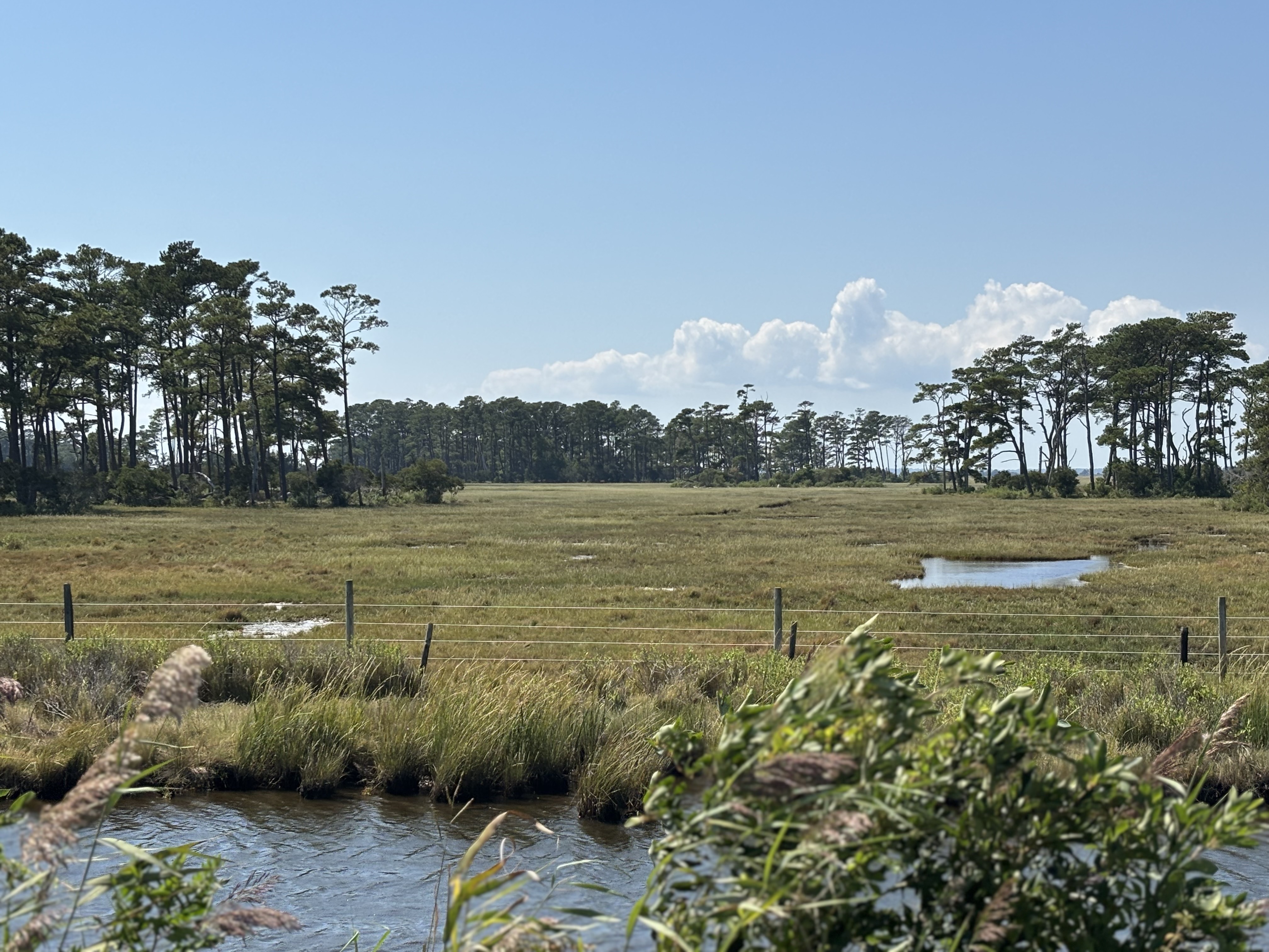 Things are changing': New photo exhibit on Chincoteague aims to document —  and save — island treasures, image size:4032x3024