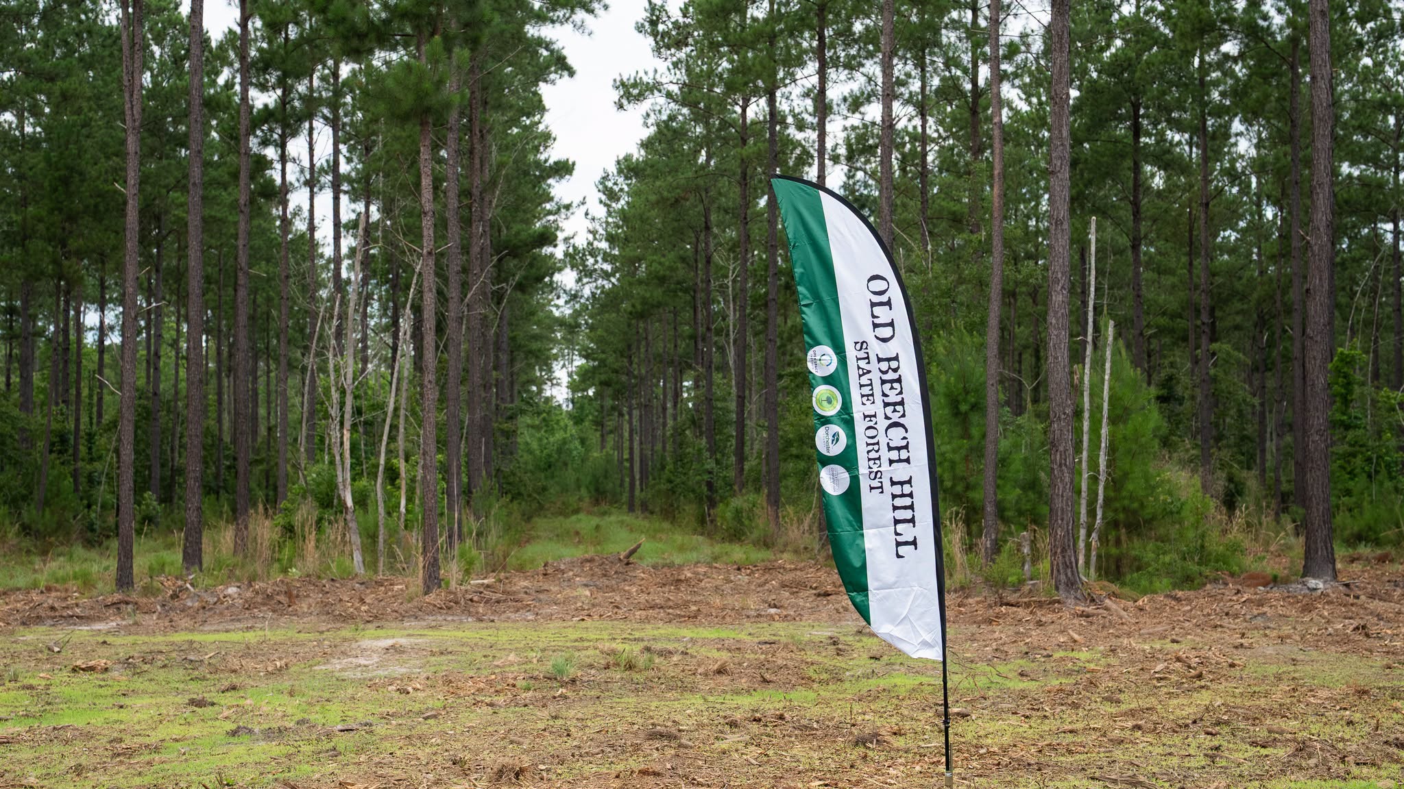 South Carolina celebrates its newest state forest