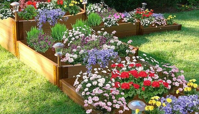 5th grader creating memorial garden to honor lives lost in Dawson Springs tornado - Vimarsana News