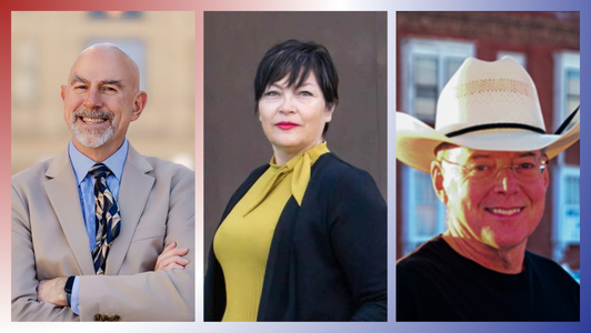 Secretary of state candidates boast business experience but differ on election oversight