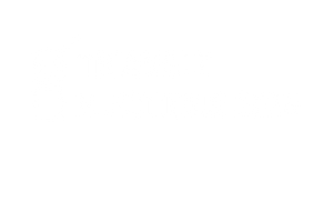 Triangle Elections 2025