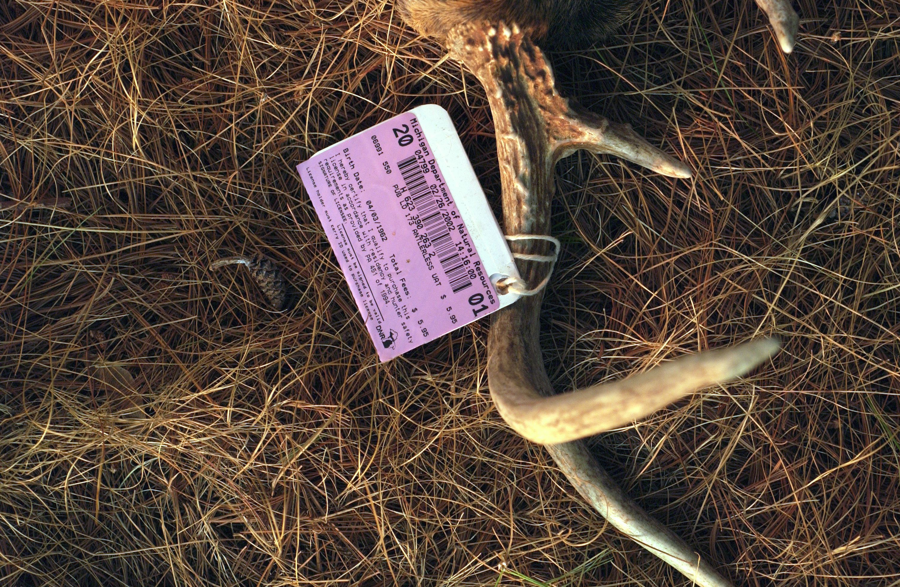 DNR pushes for license fee increases as costs skyrocket | WCMU 
