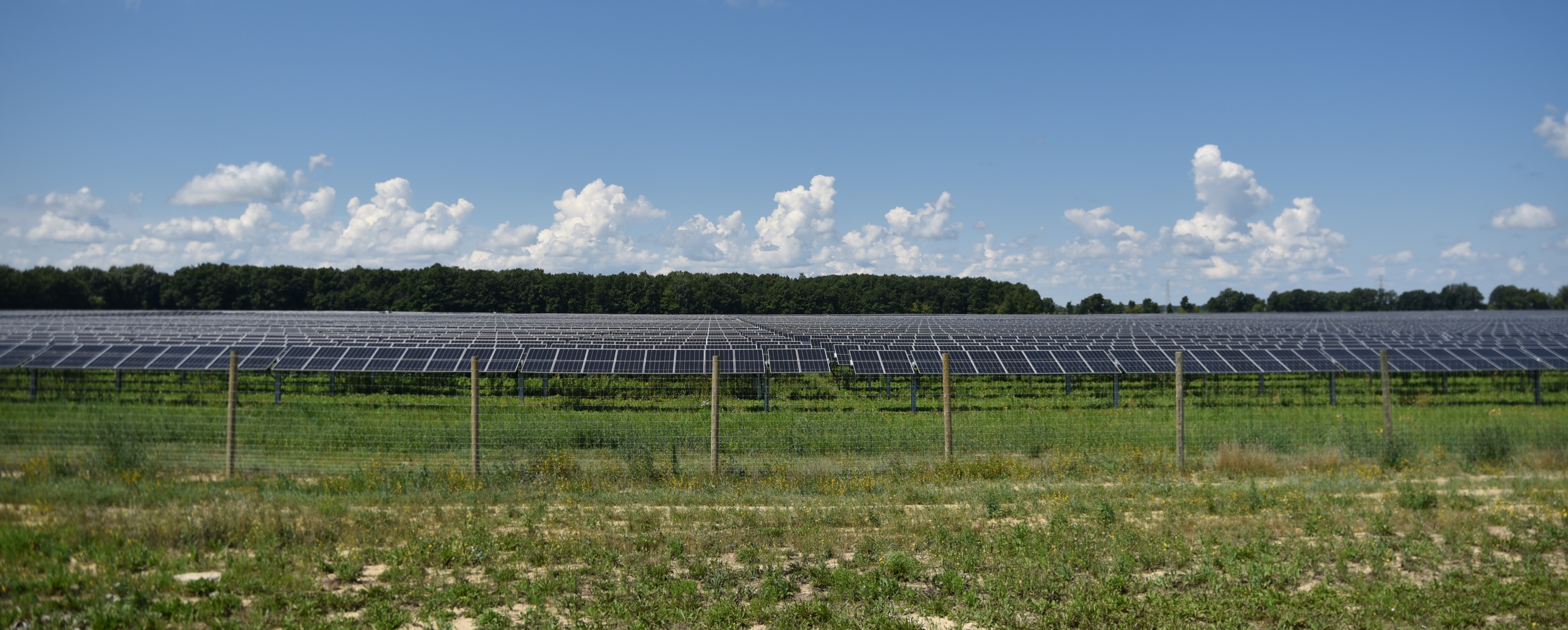 Effort to reverse law on siting renewable energy projects short on signatures - Vimarsana News