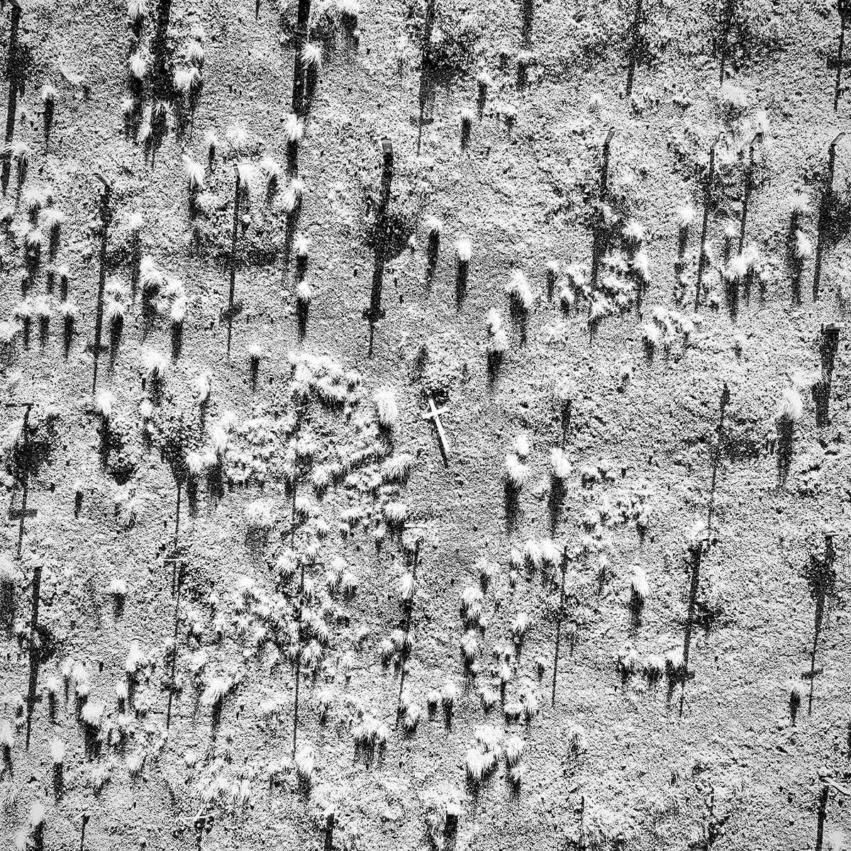 Aerial view of Goldfield cemetery with a fallen cross among standing shadows.