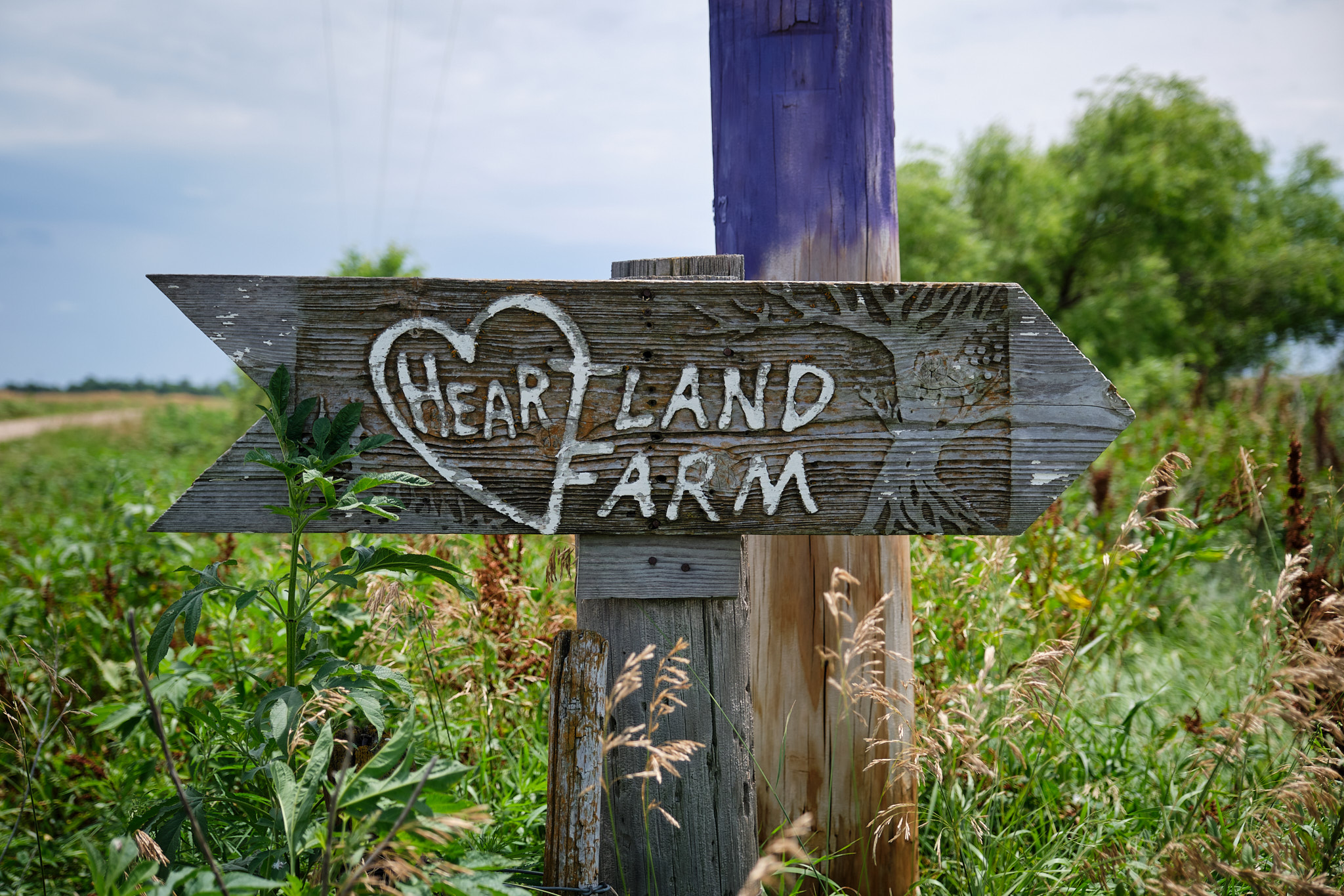 Kansans Of Faith Evangelize For Saving The Planet From Climate Change - Vimarsana News