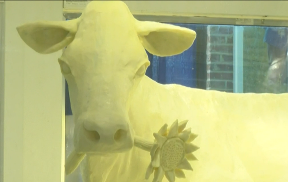 Illinois State Fair sets attendance record - Vimarsana News
