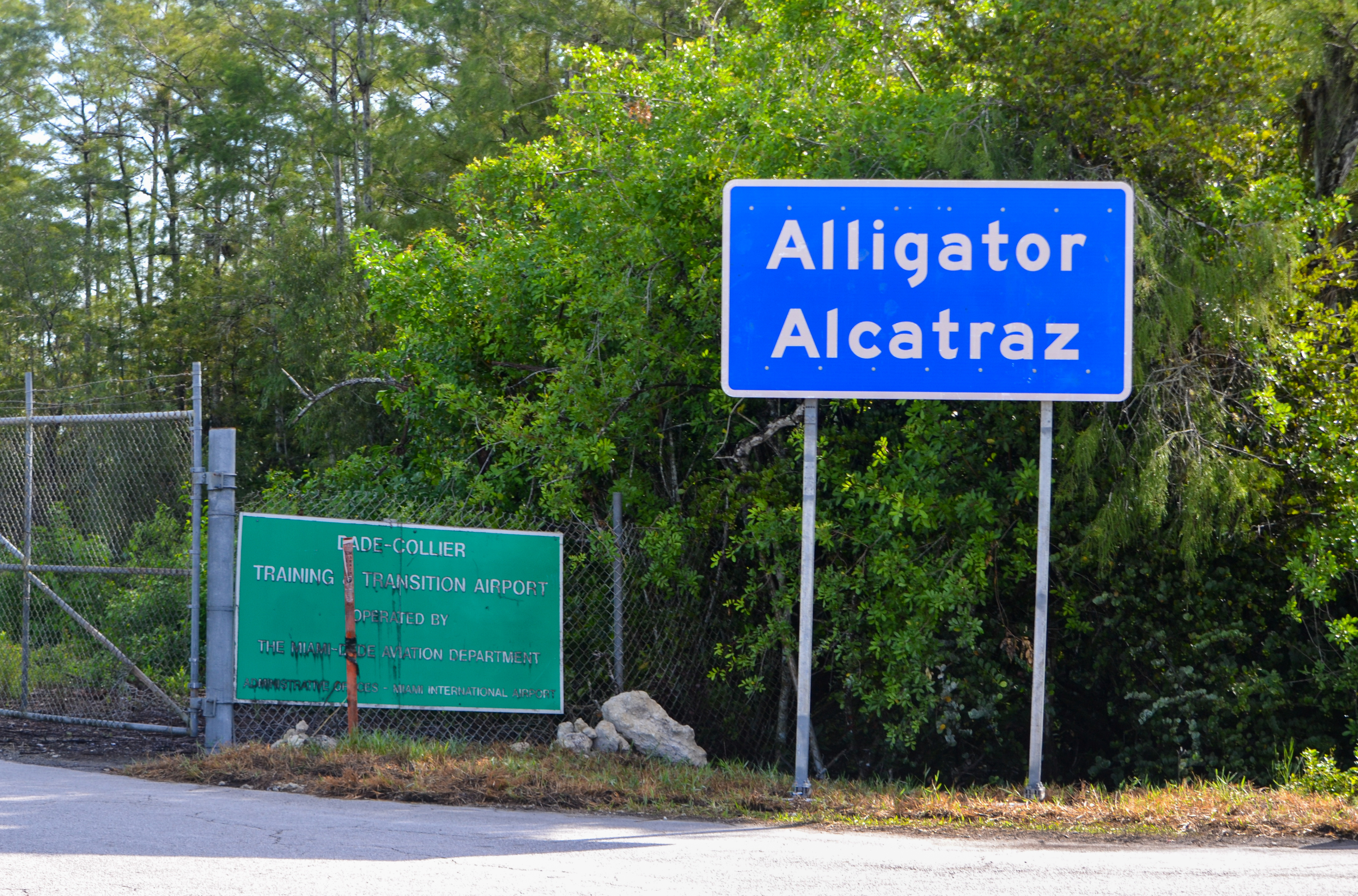 Built in a flash: new satellite imagery shows rapid construction